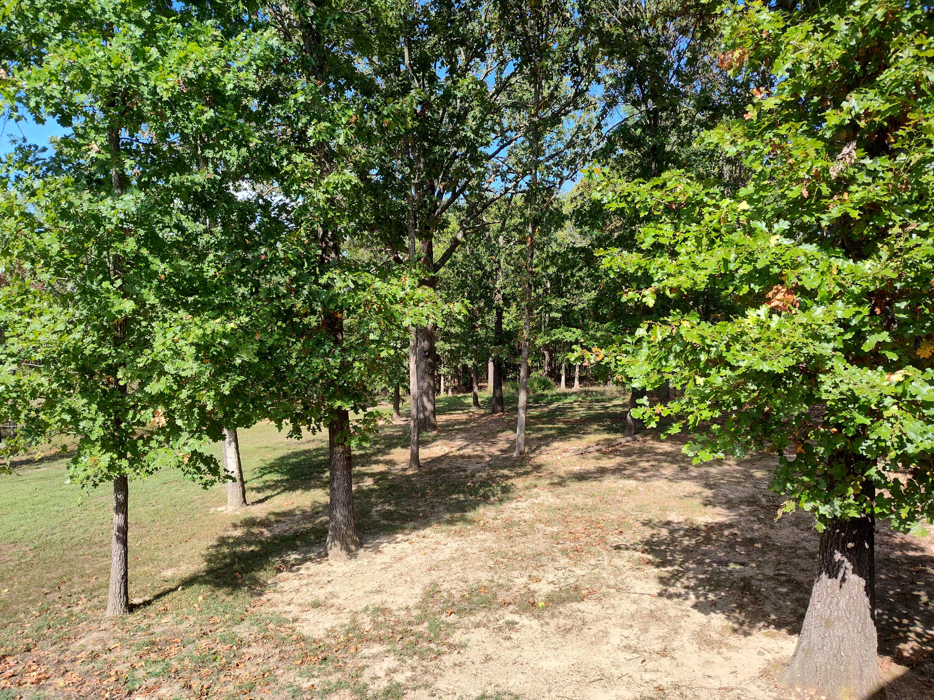 Photo 38 - Residential for sale – 2373 E 540th Road  Buffalo, MO