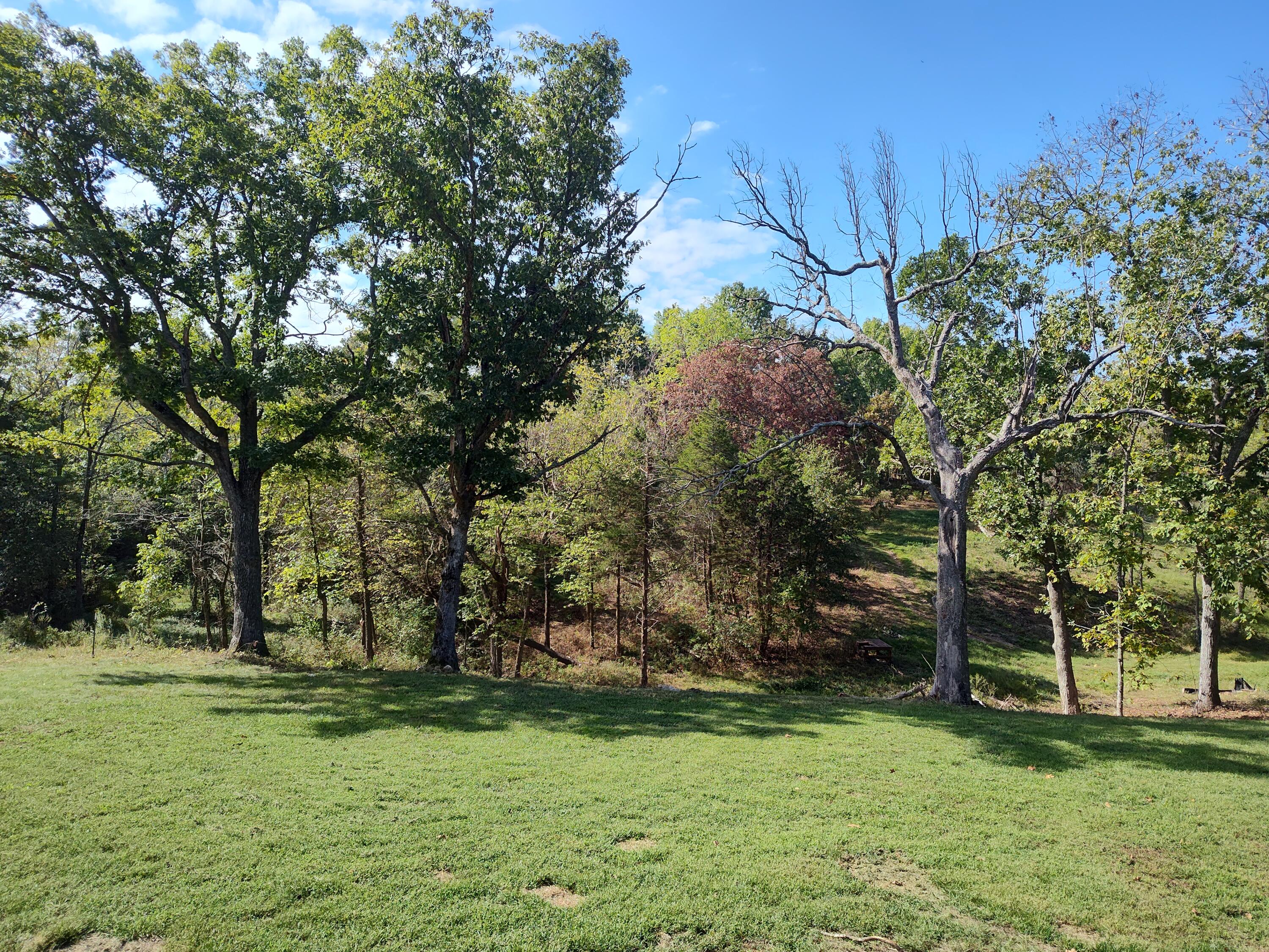 Photo 36 - Residential for sale – 2373 E 540th Road  Buffalo, MO