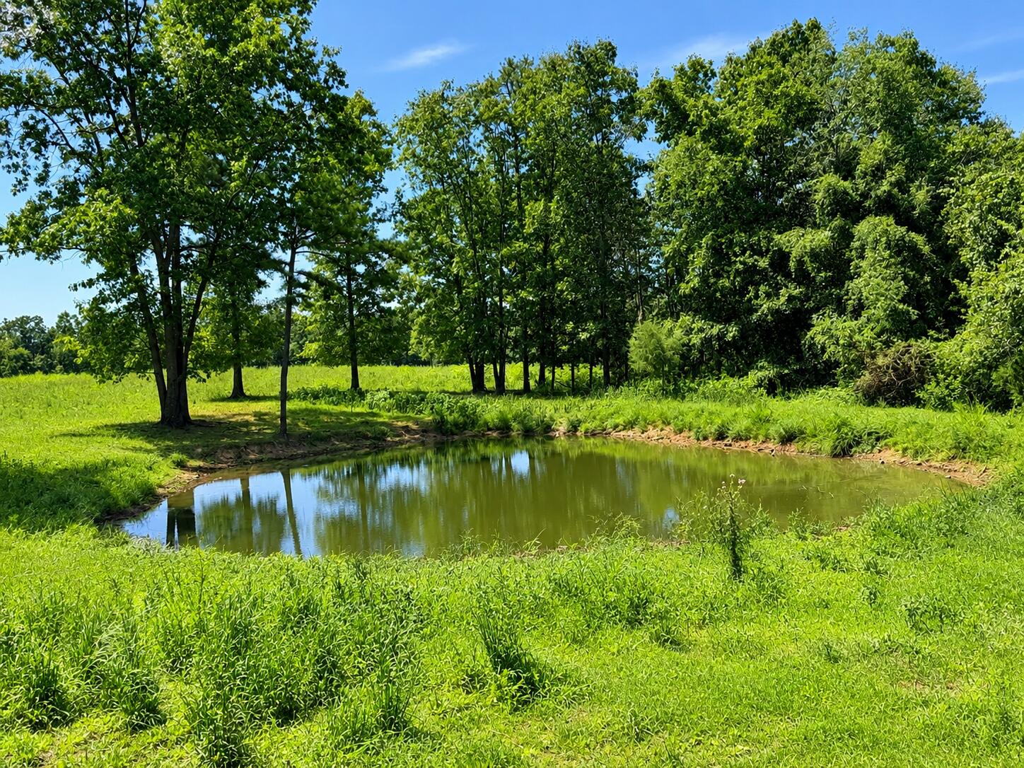 Photo 30 - Residential for sale – 1420  State Route 14   West Plains, MO