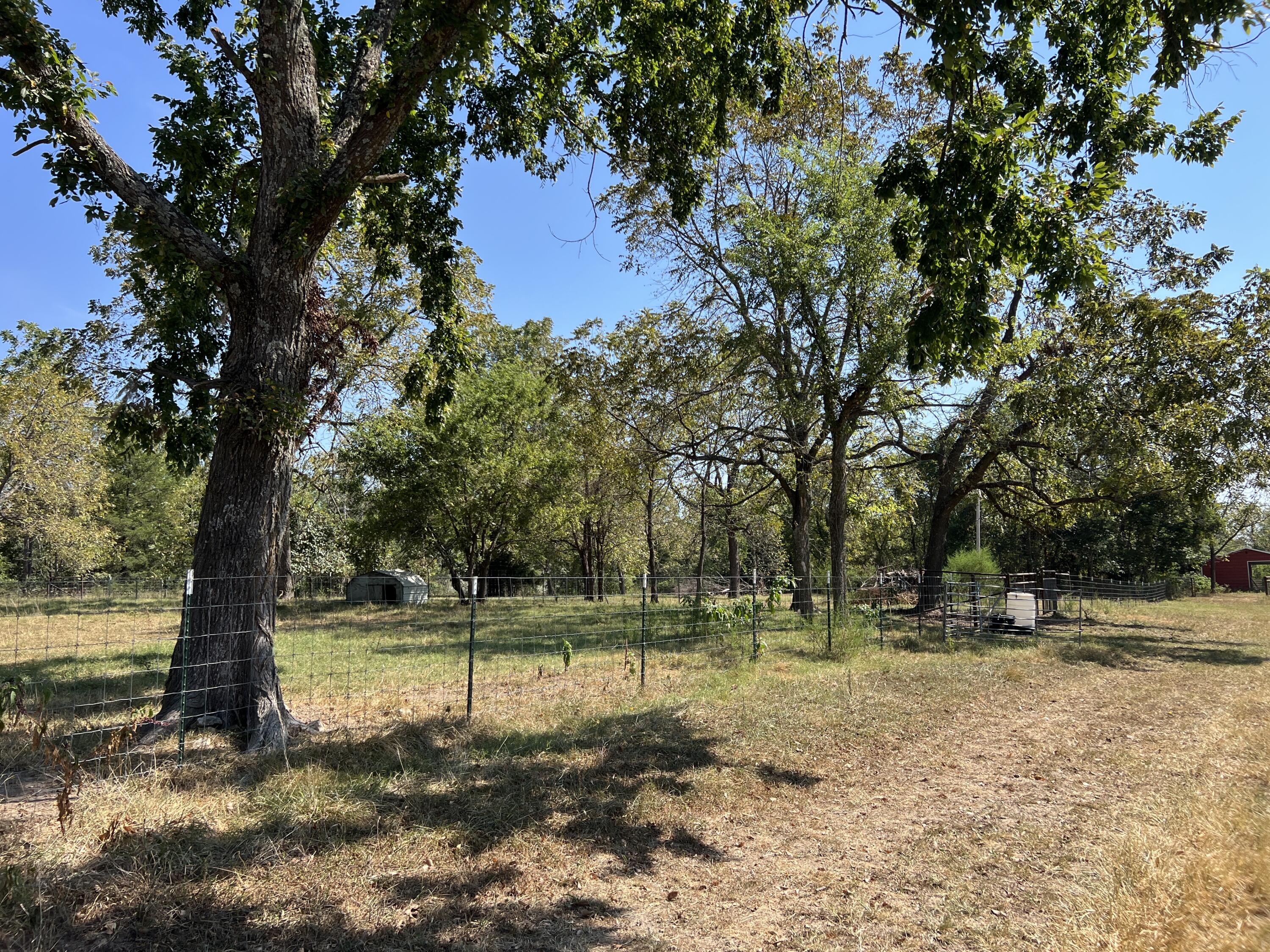 Photo 65 - Farm for sale – 2355  King Road  Mountain Grove, MO