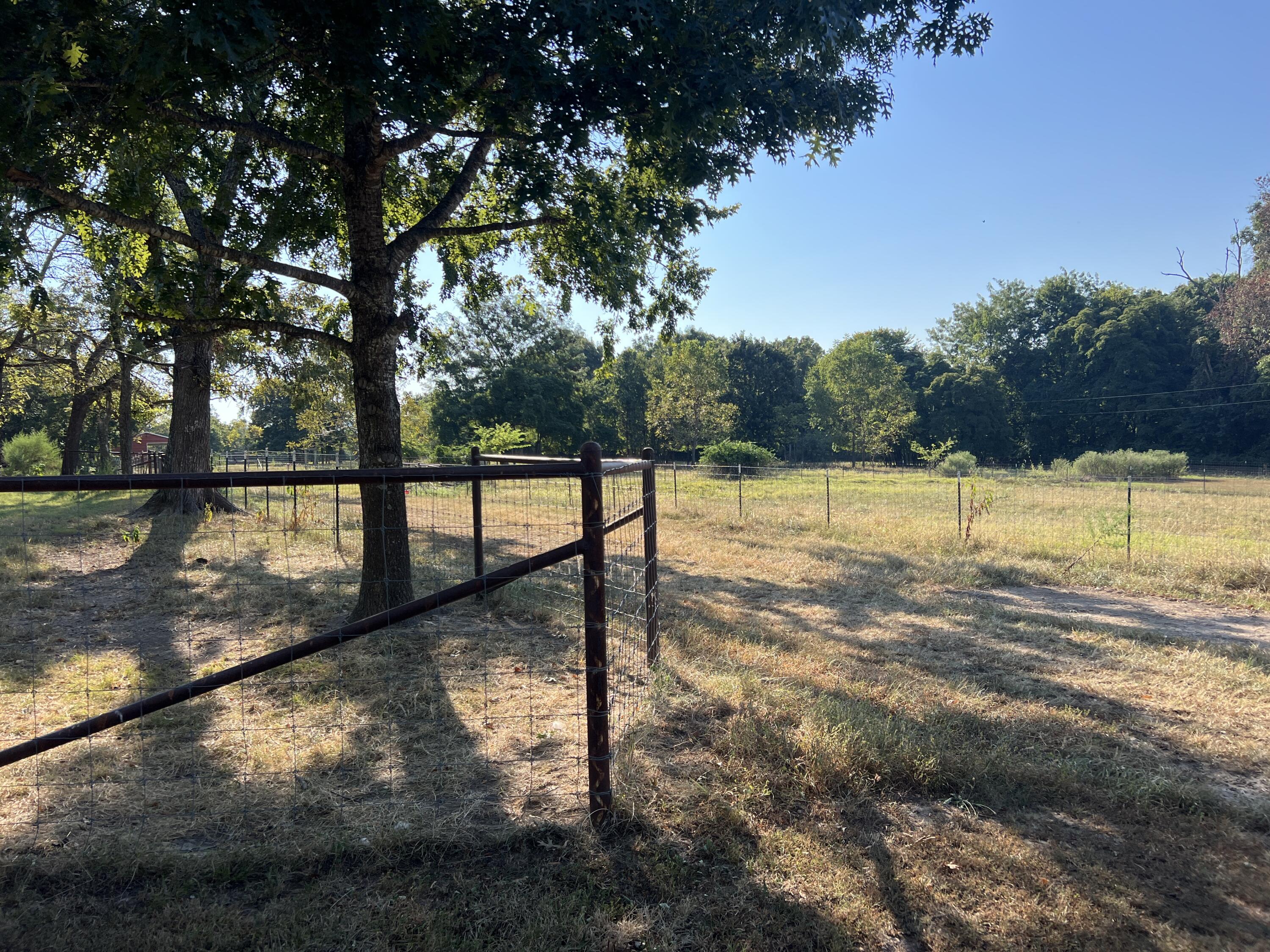 Photo 79 - Farm for sale – 2355  King Road  Mountain Grove, MO