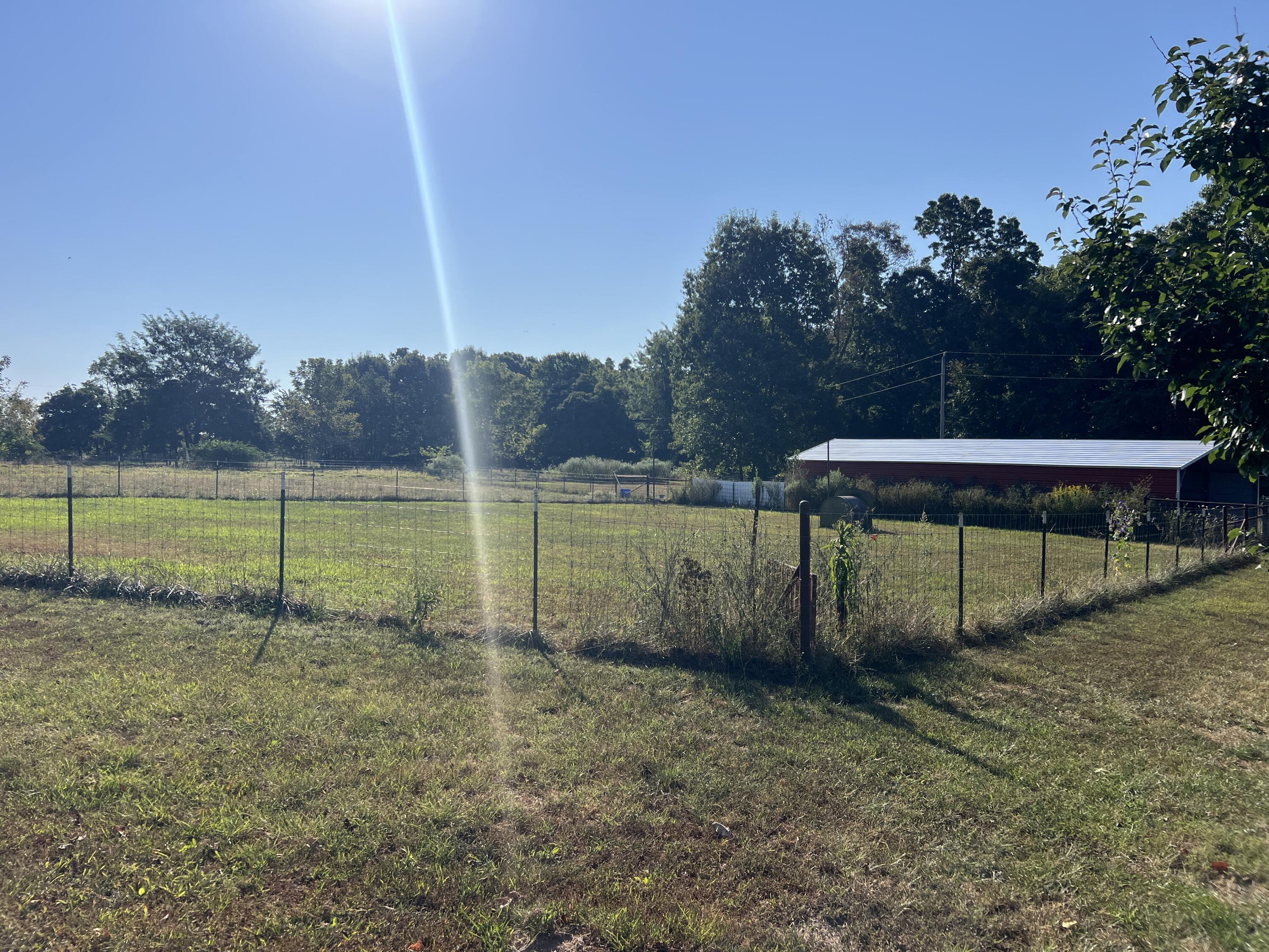 Photo 81 - Farm for sale – 2355  King Road  Mountain Grove, MO