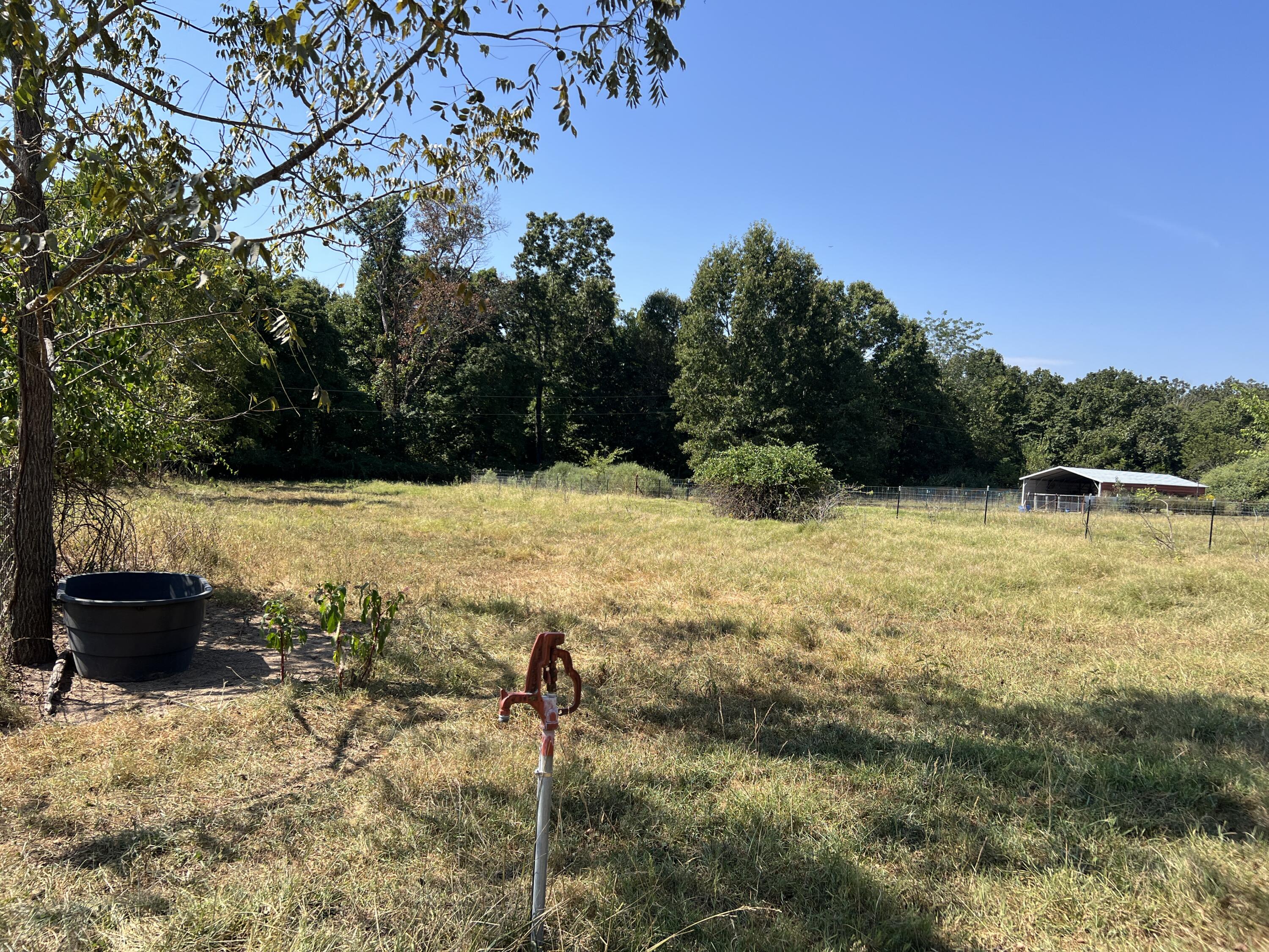 Photo 12 - Farm for sale – 2355  King Road  Mountain Grove, MO