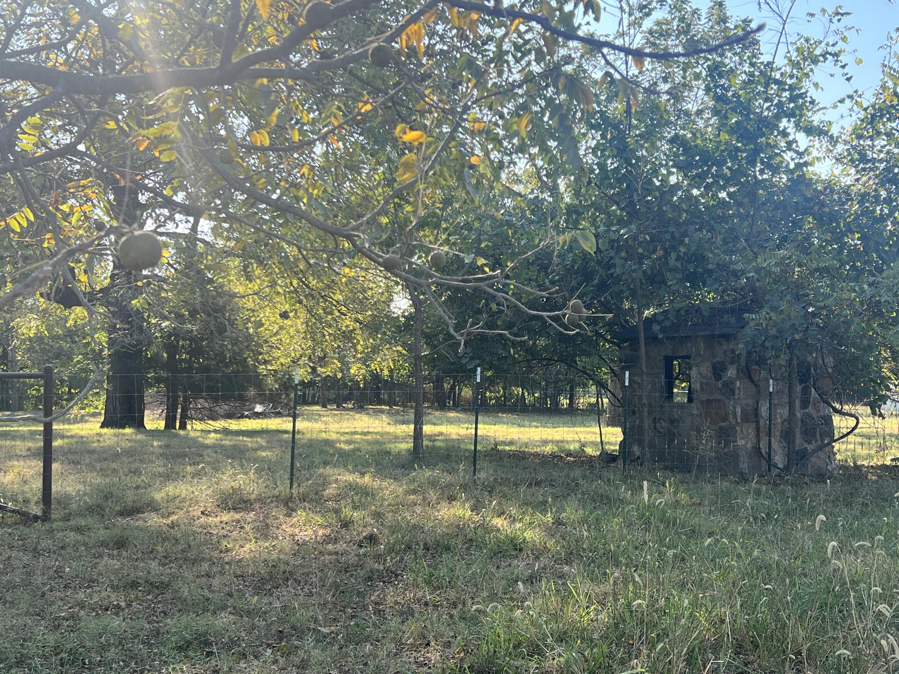 Photo 78 - Farm for sale – 2355  King Road  Mountain Grove, MO