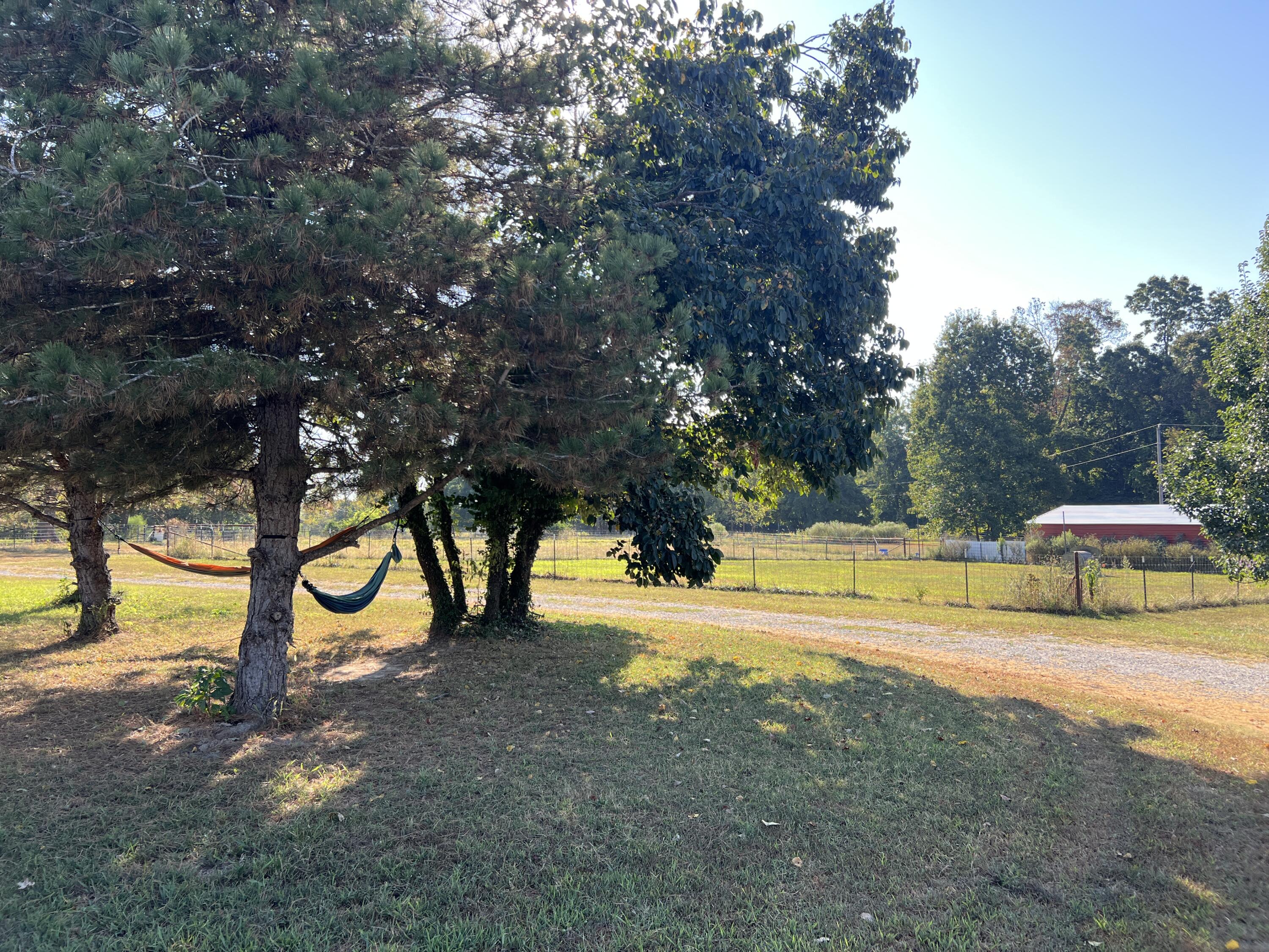 Photo 56 - Farm for sale – 2355  King Road  Mountain Grove, MO