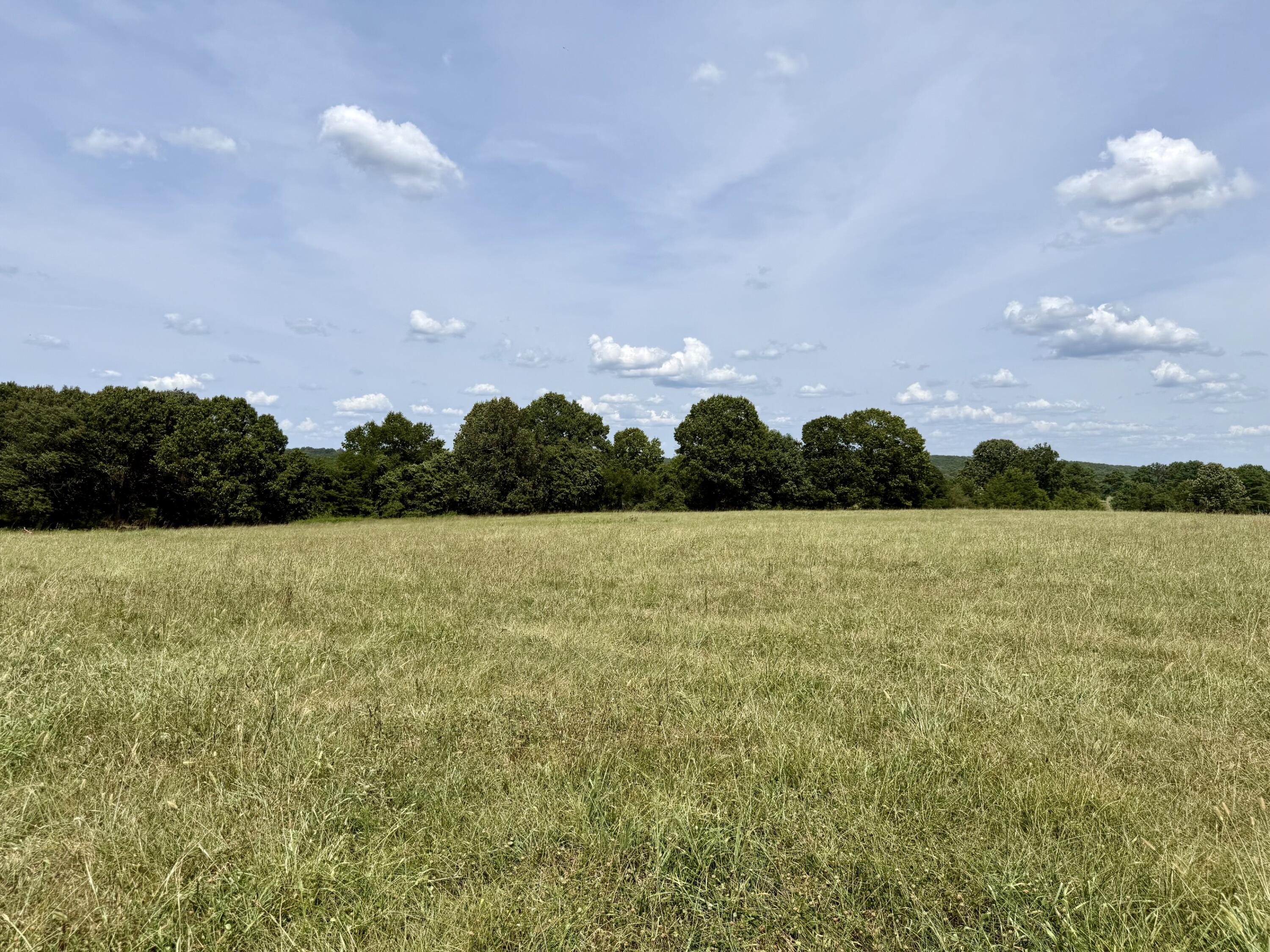 Land for sale – 000  Barnum Drive Tract I-2   Cabool, MO