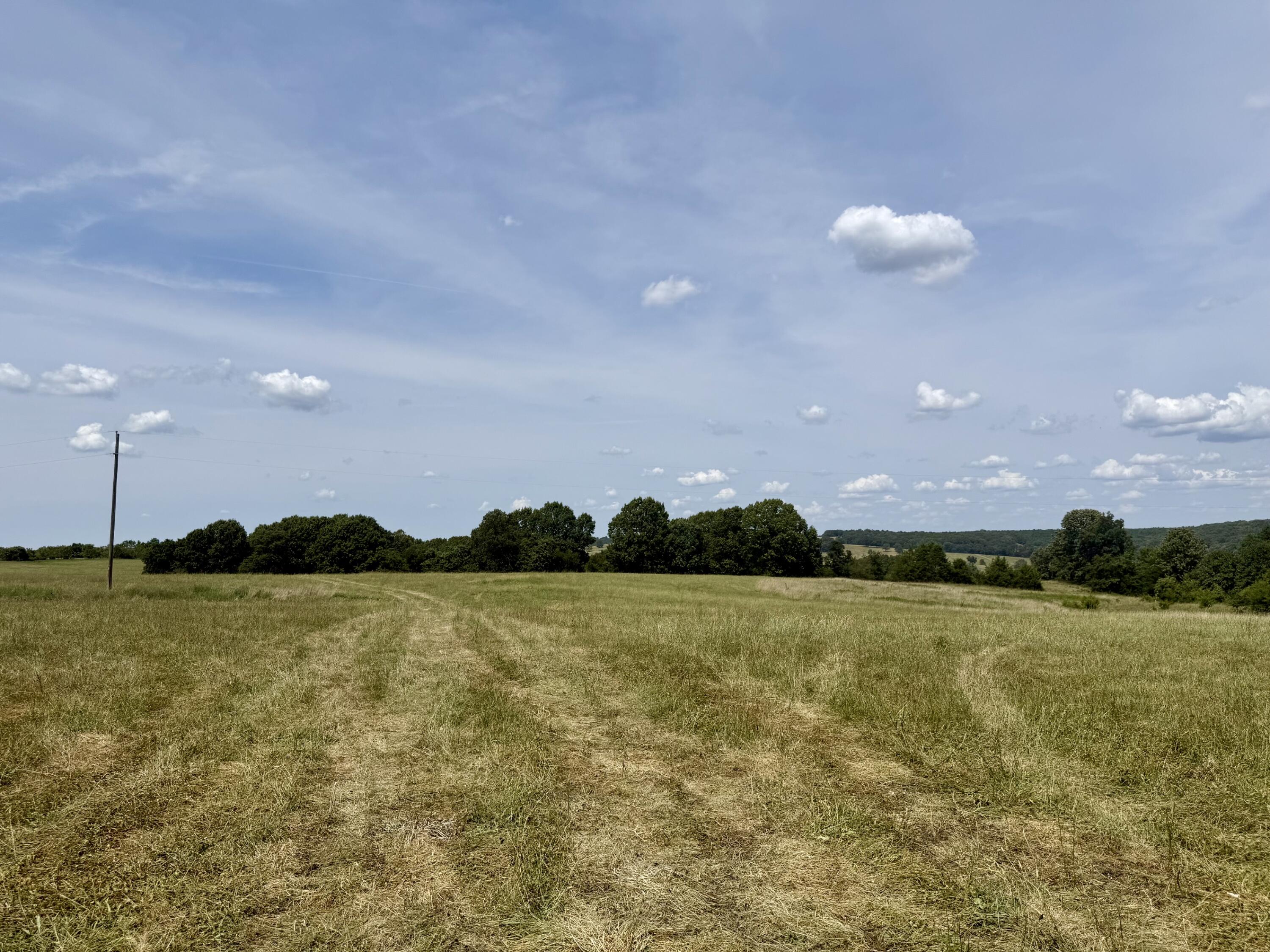 Photo 2 - Land for sale – 000  Barnum Drive Tract I-2   Cabool, MO