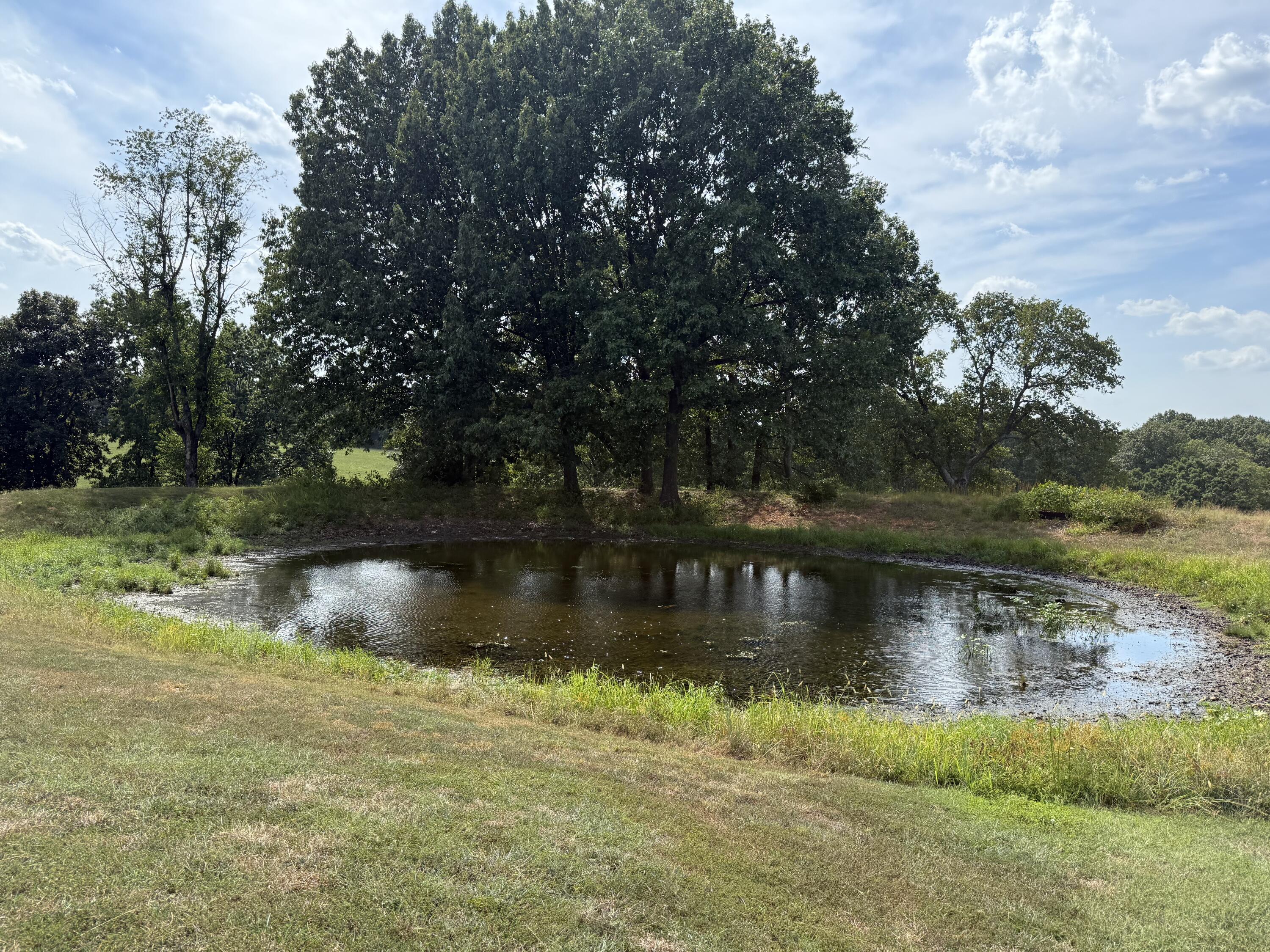 Photo 79 - Residential for sale – 17984  State Highway 248   Cassville, MO