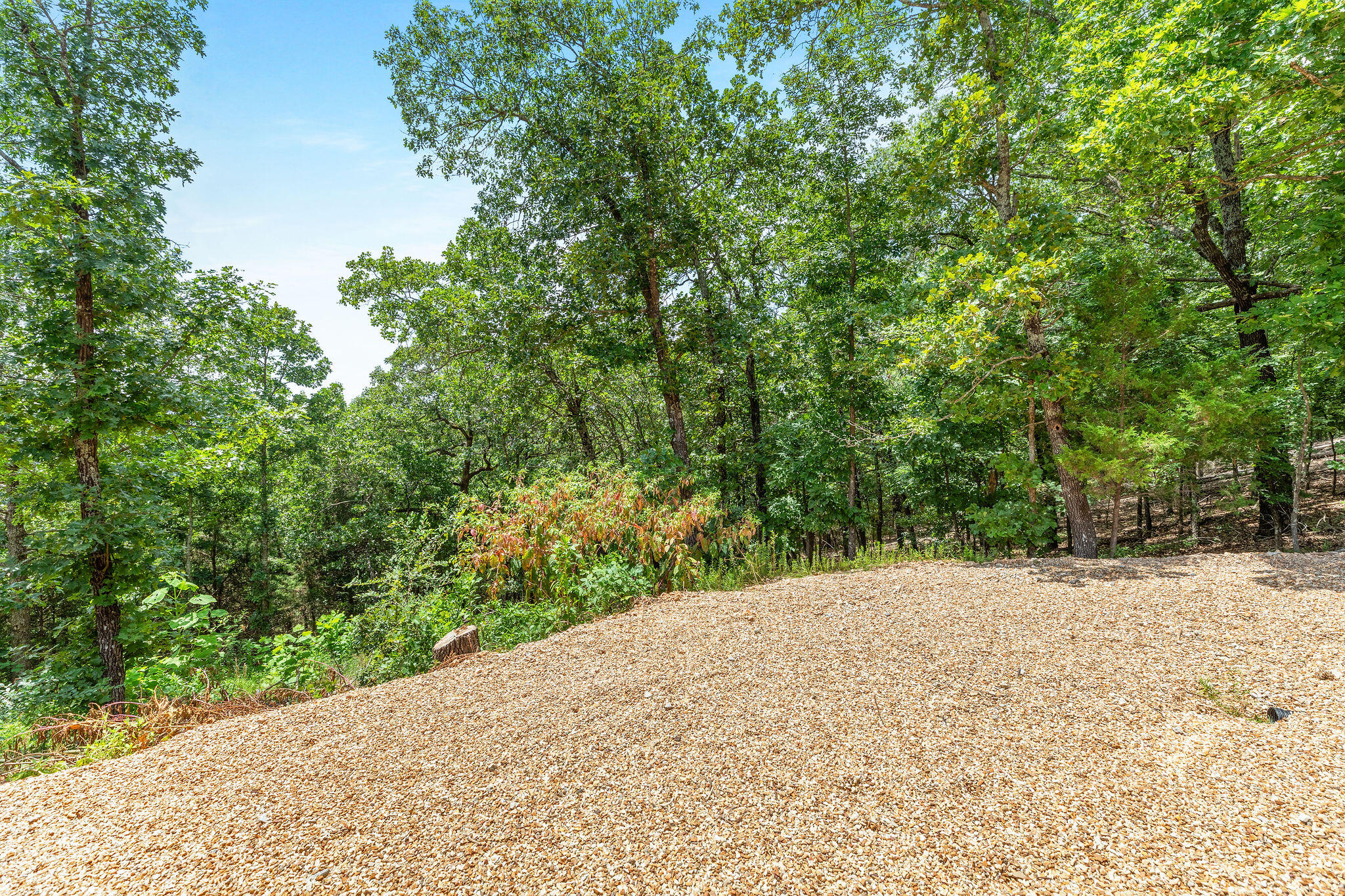 Photo 23 - Residential for sale – 500  Briggs Road  Walnut Shade, MO
