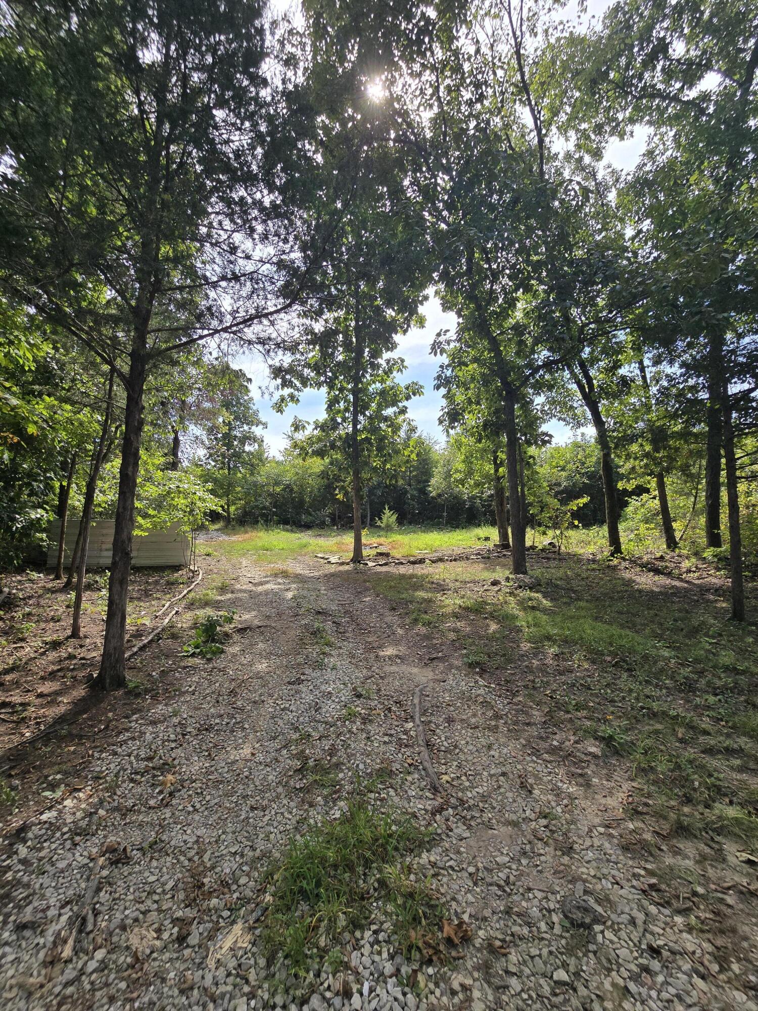 Photo 3 - Land for sale – 1899  Cedar Gap Central Lane  Seymour, MO