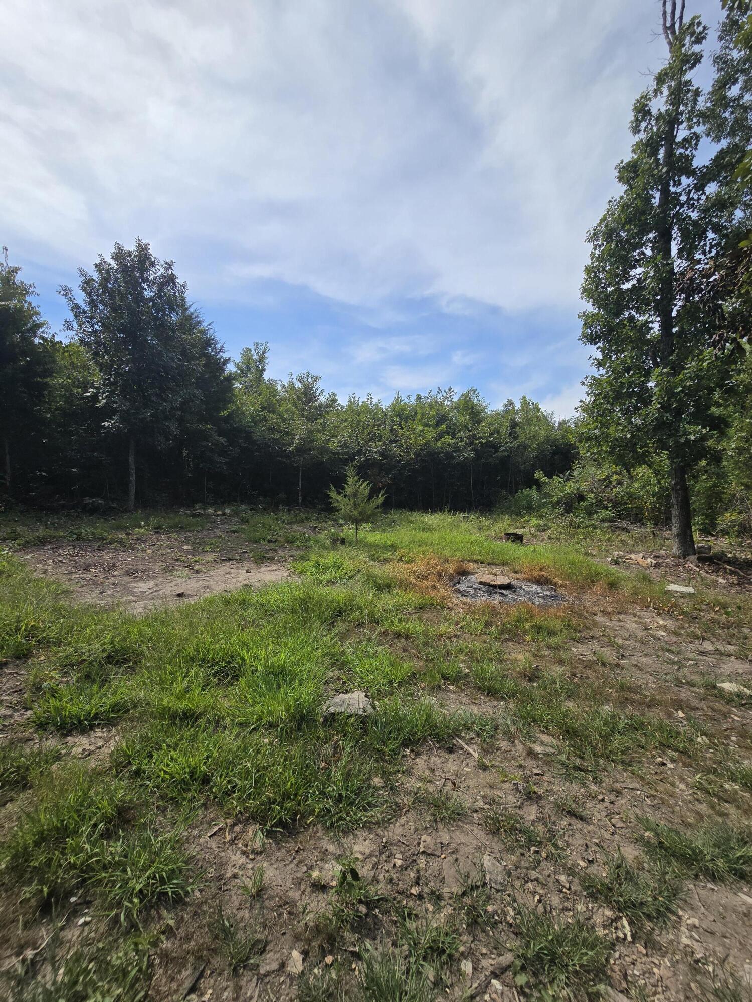 Photo 2 - Land for sale – 1899  Cedar Gap Central Lane  Seymour, MO