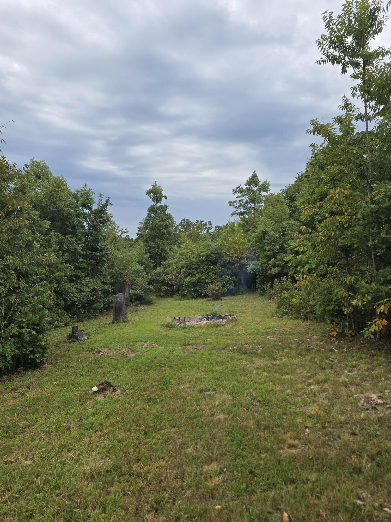 Photo 4 - Land for sale – 1899  Cedar Gap Central Lane  Seymour, MO
