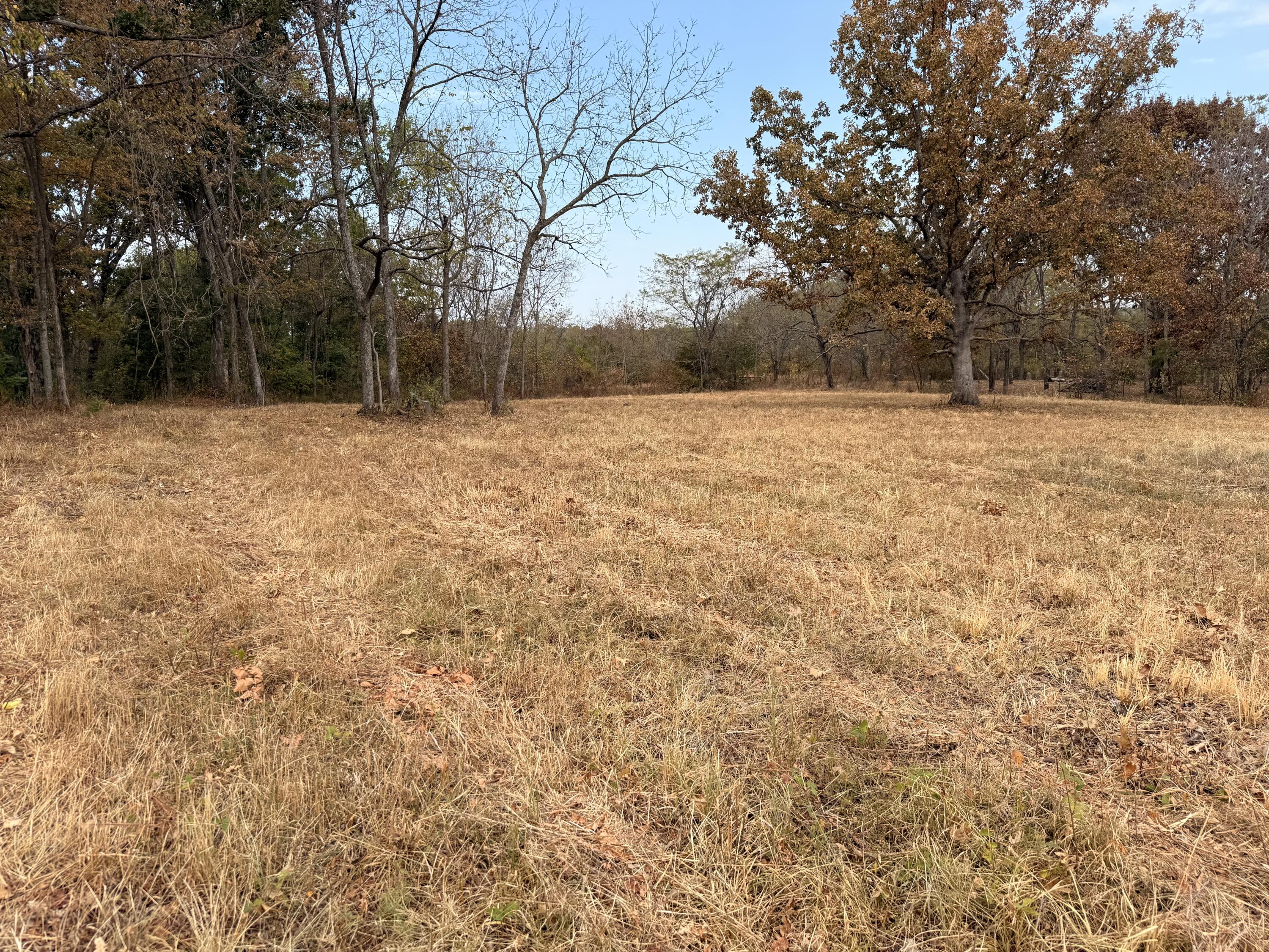 Photo 6 - Land for sale – 1002  Dys Drive  Cabool, MO