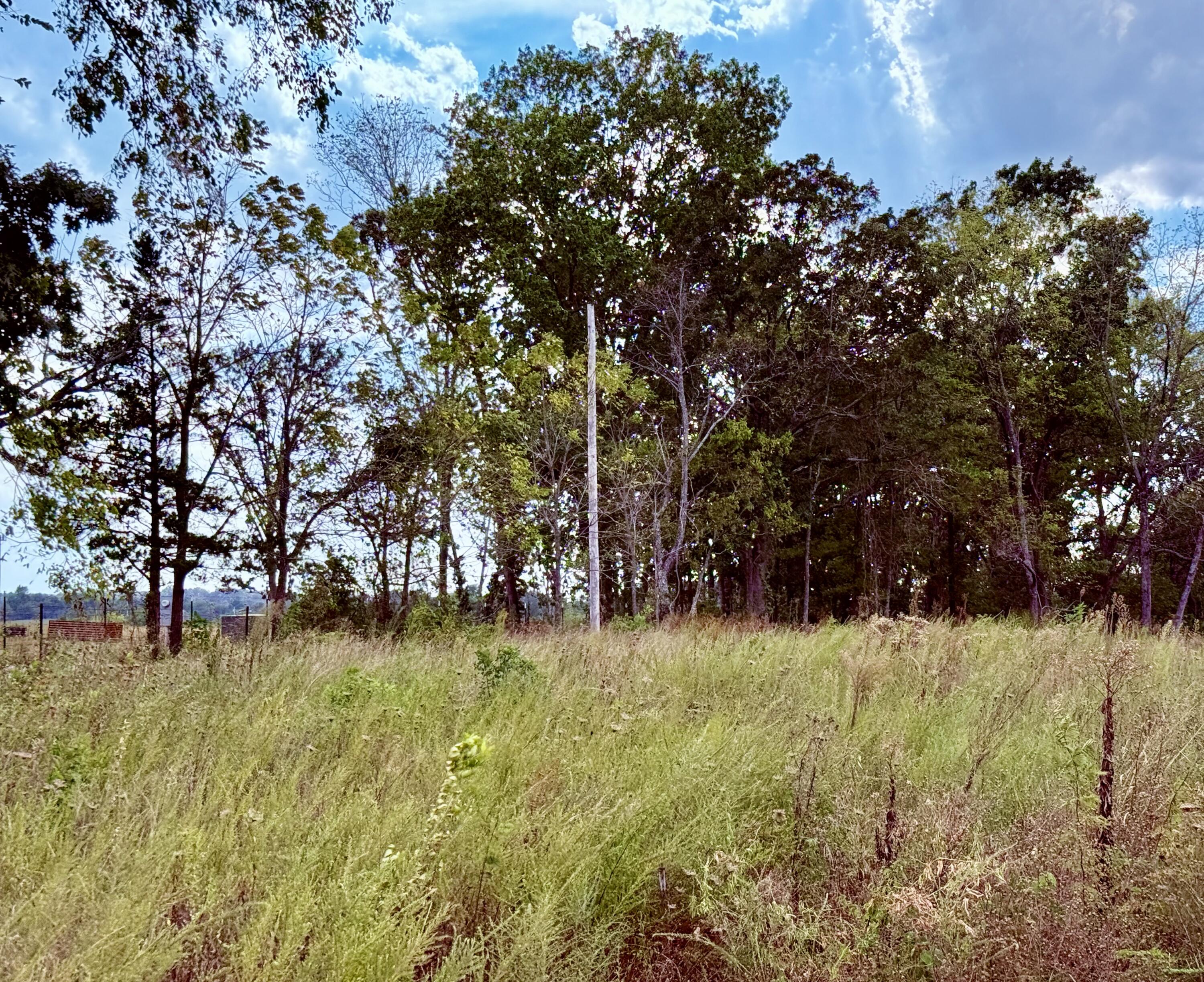 Photo 4 - Land for sale – 1002  Dys Drive  Cabool, MO