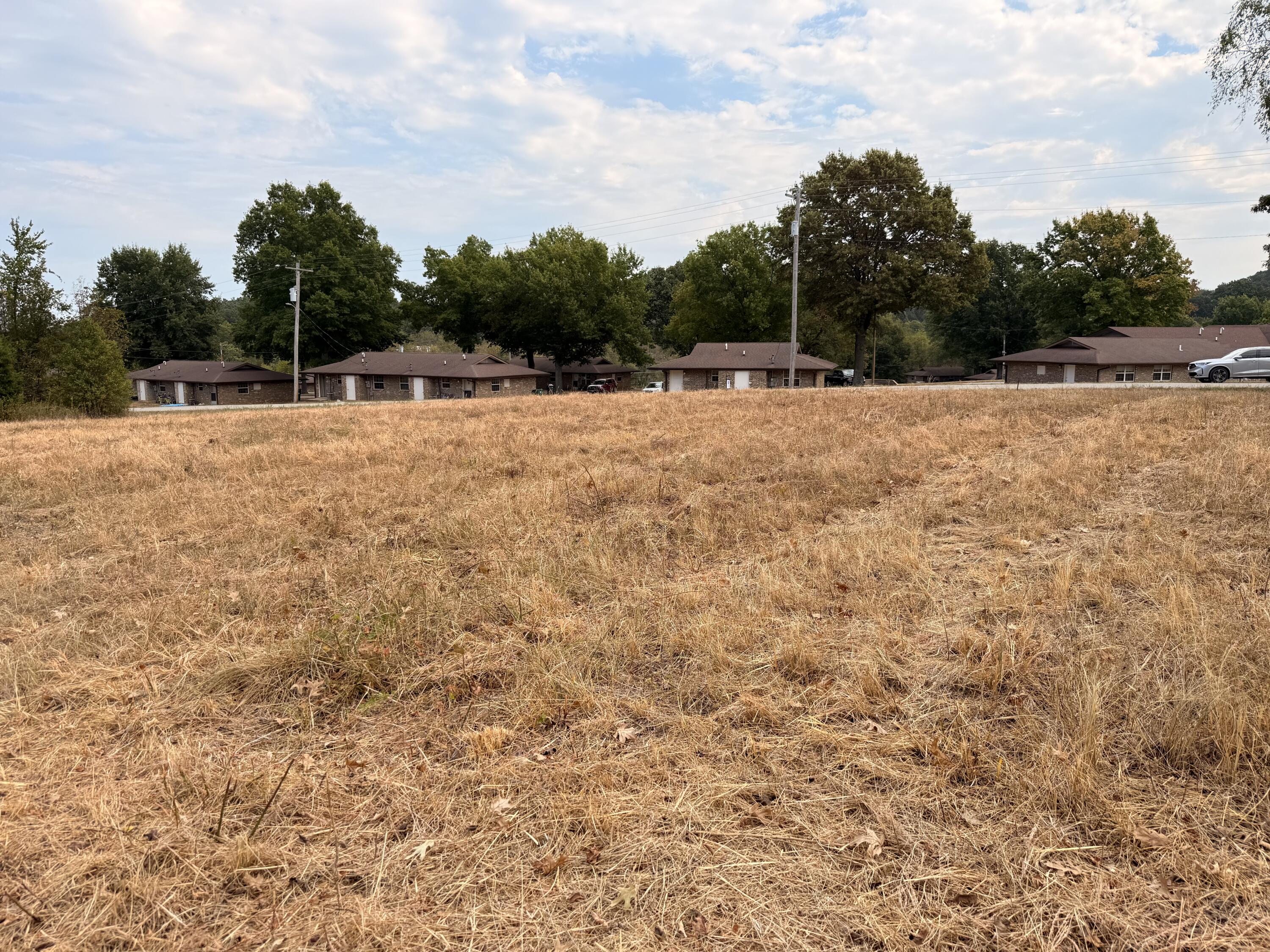 Photo 5 - Land for sale – 1002  Dys Drive  Cabool, MO