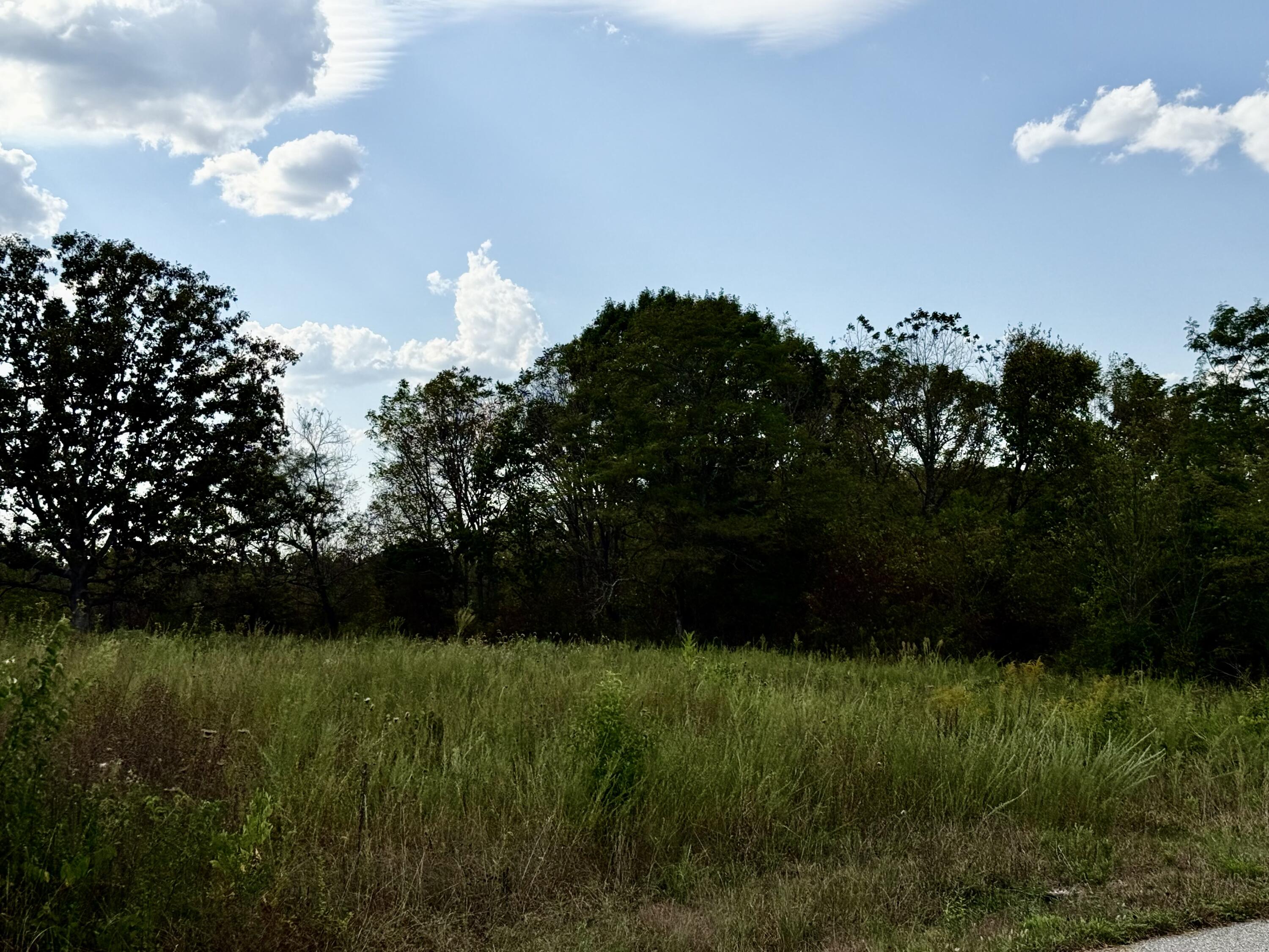 Photo 7 - Land for sale – 1002  Dys Drive  Cabool, MO