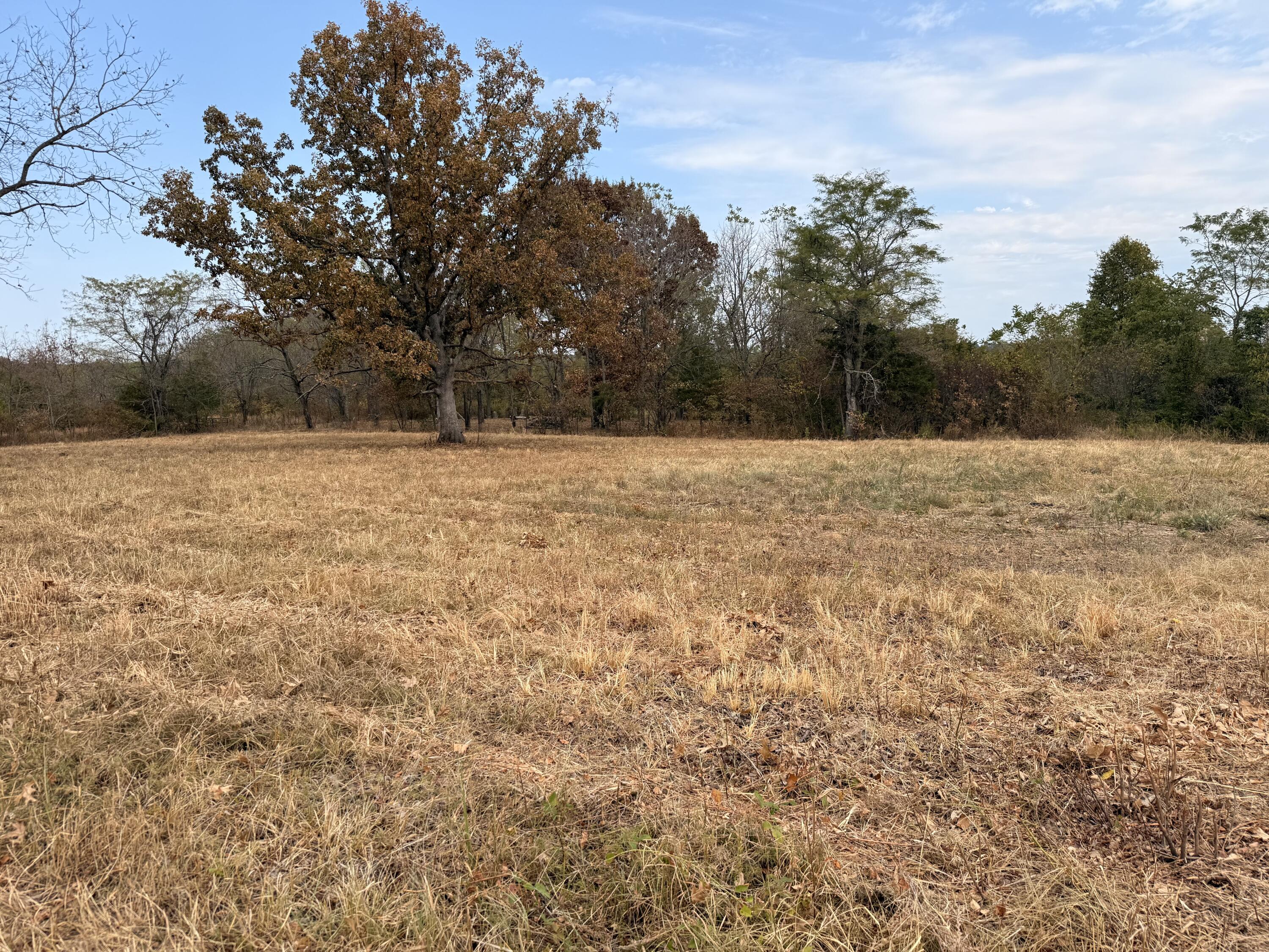 Photo 2 - Land for sale – 1002  Dys Drive  Cabool, MO