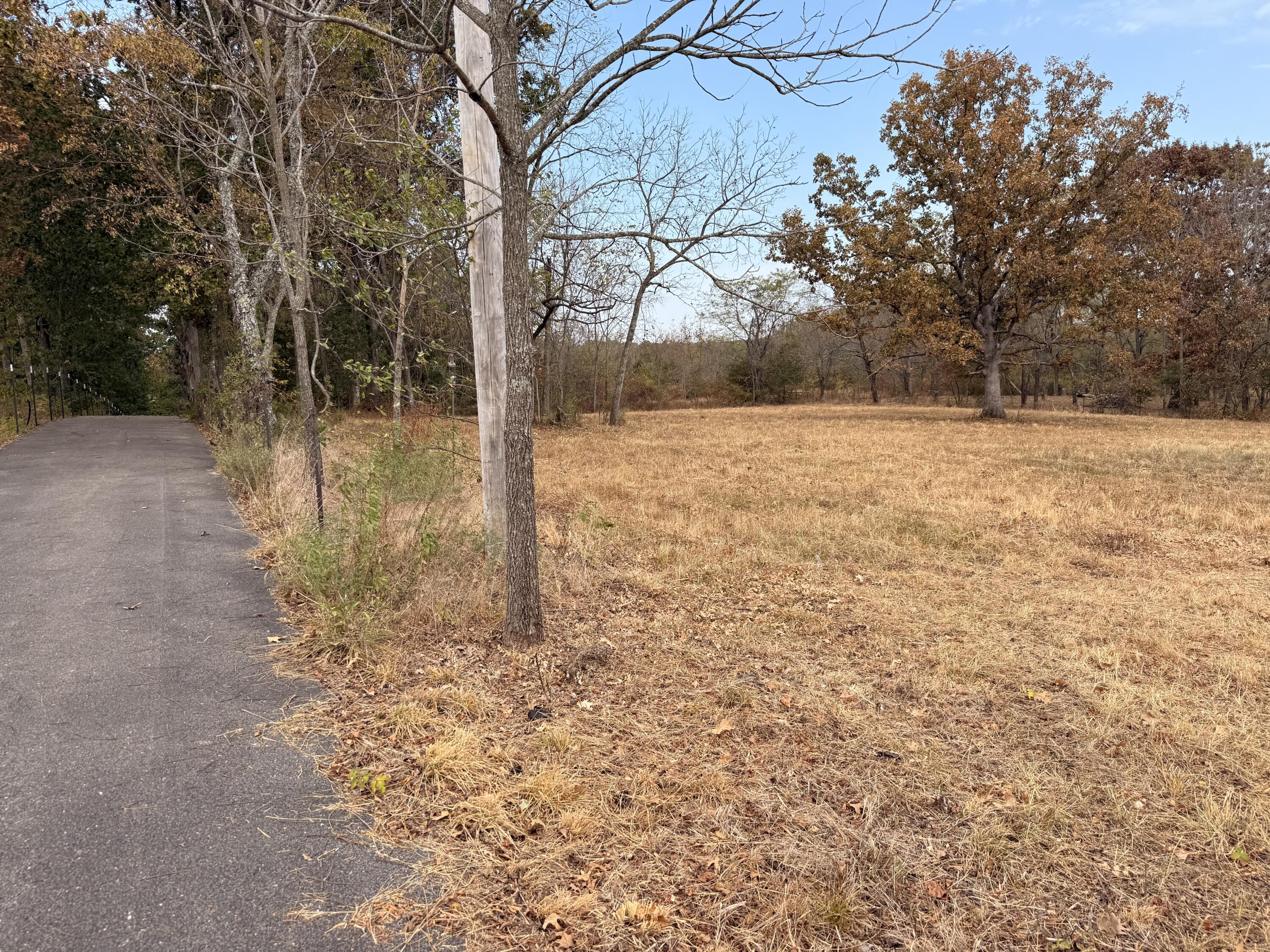 Photo 3 - Land for sale – 1002  Dys Drive  Cabool, MO