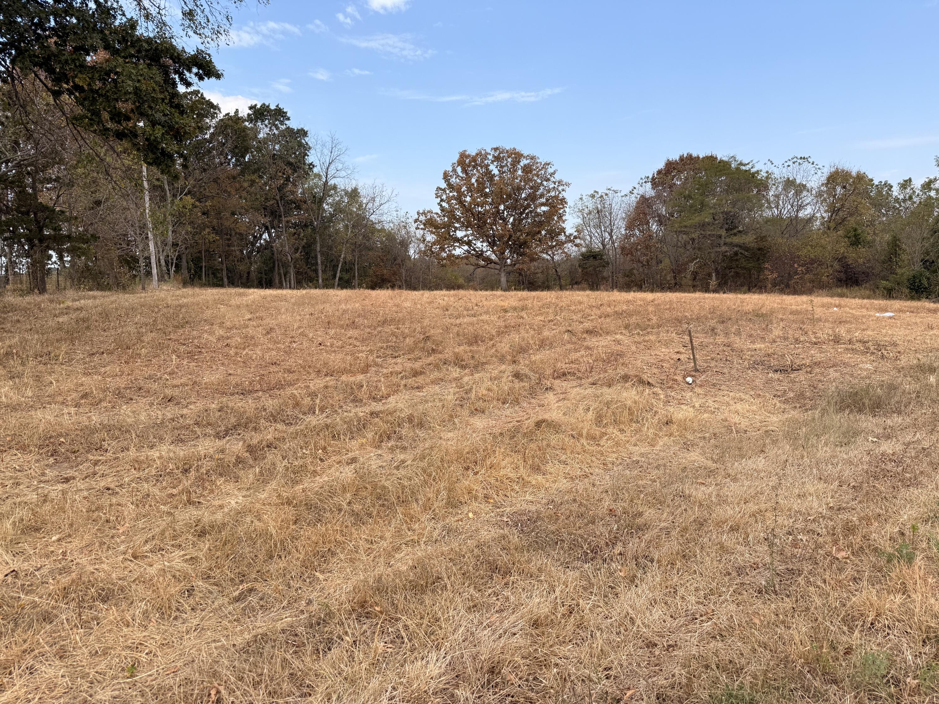 Land for sale – 1002  Dys Drive  Cabool, MO
