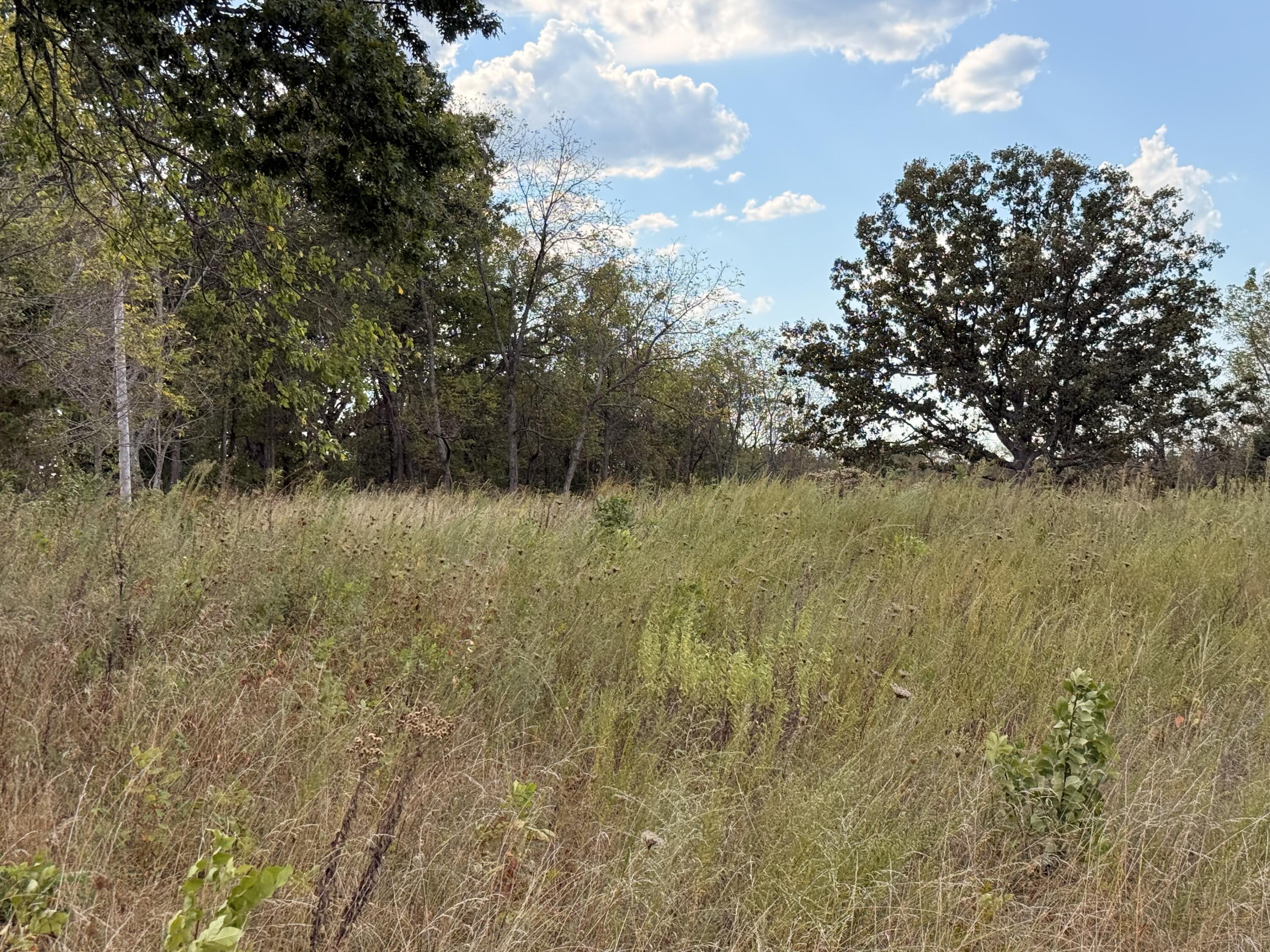 Photo 9 - Land for sale – 1002  Dys Drive  Cabool, MO