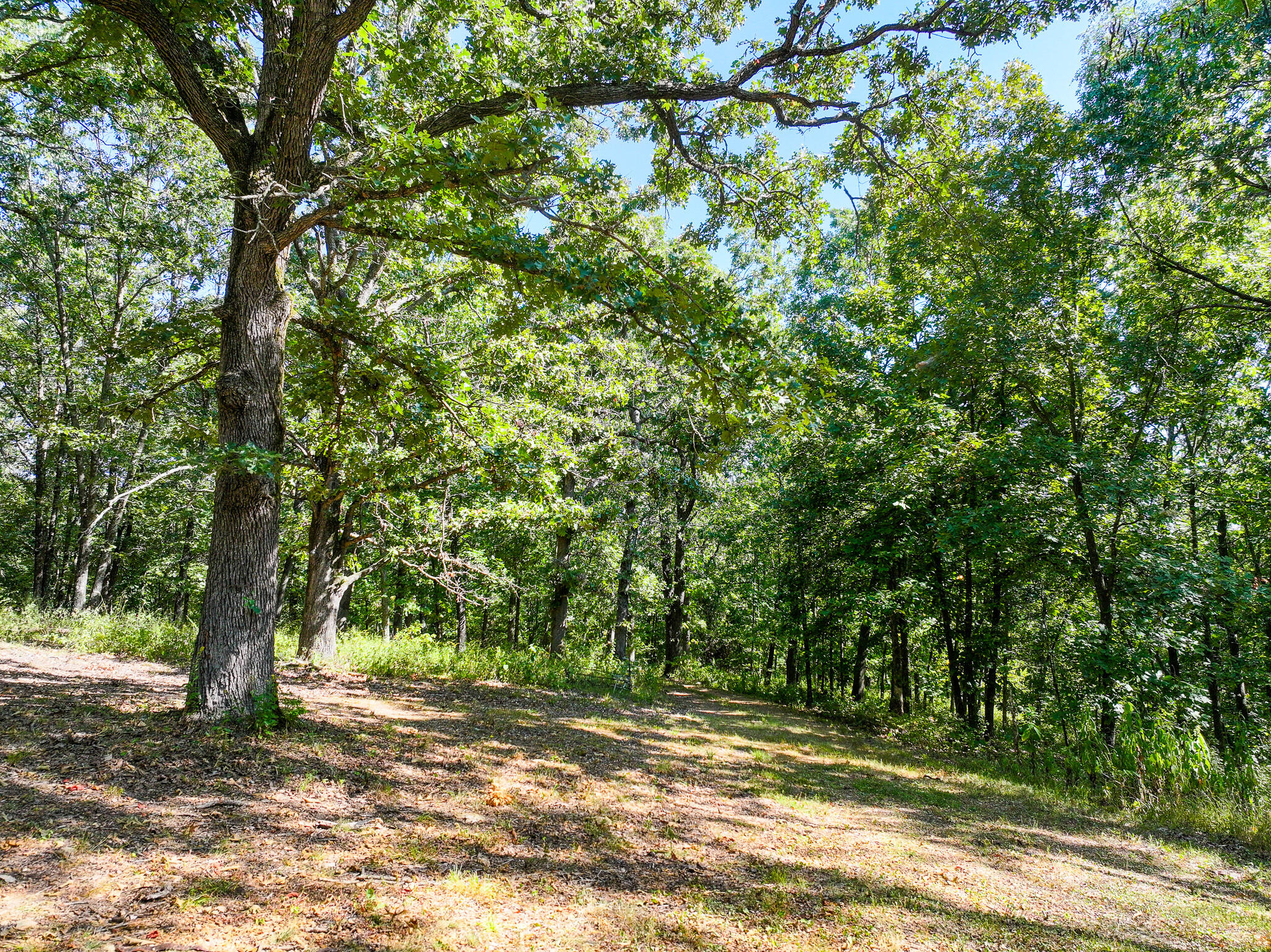 Photo 4 - Residential for sale – 1855 NE 655 Private Road  Osceola, MO