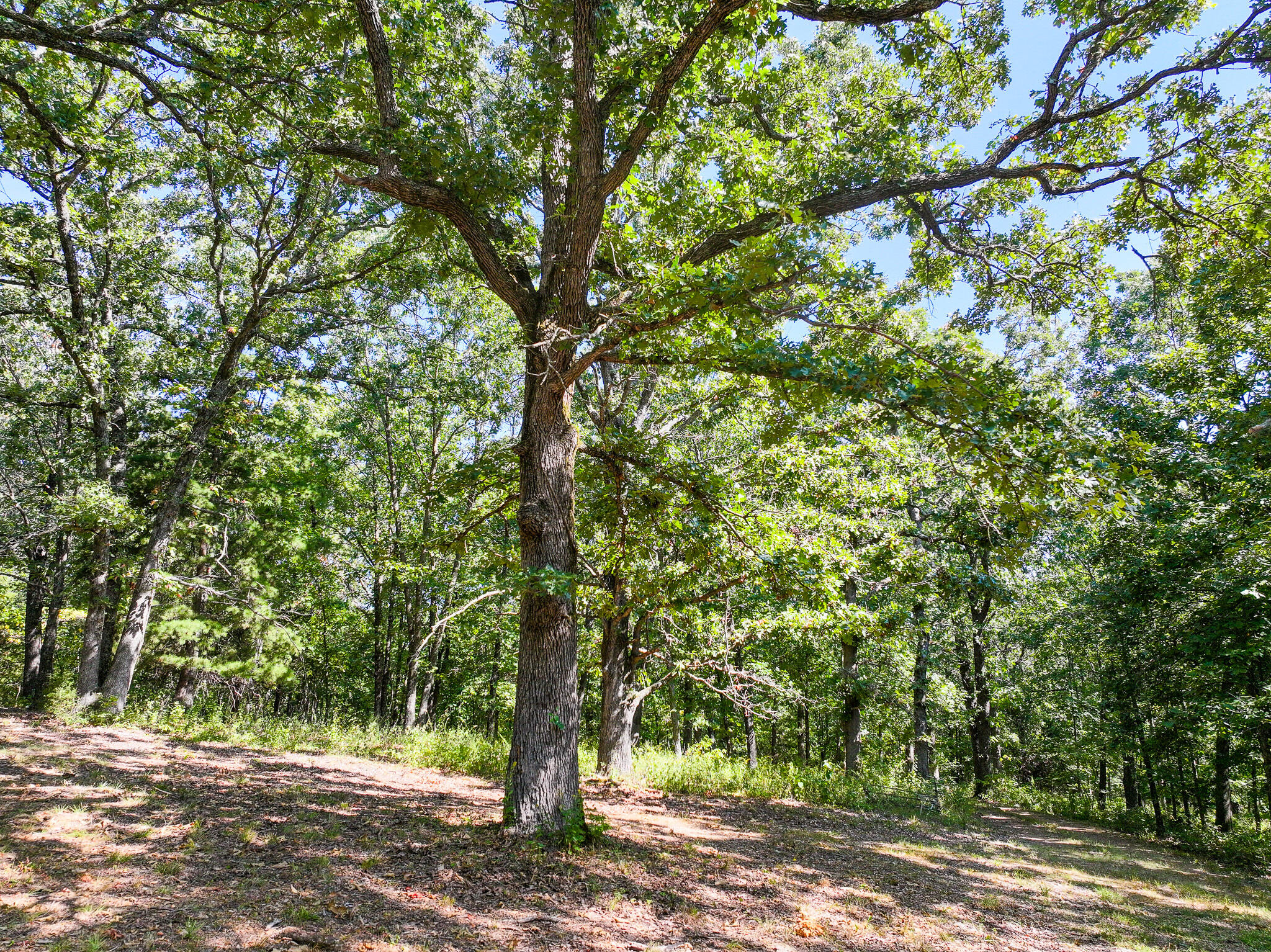 Photo 3 - Residential for sale – 1855 NE 655 Private Road  Osceola, MO