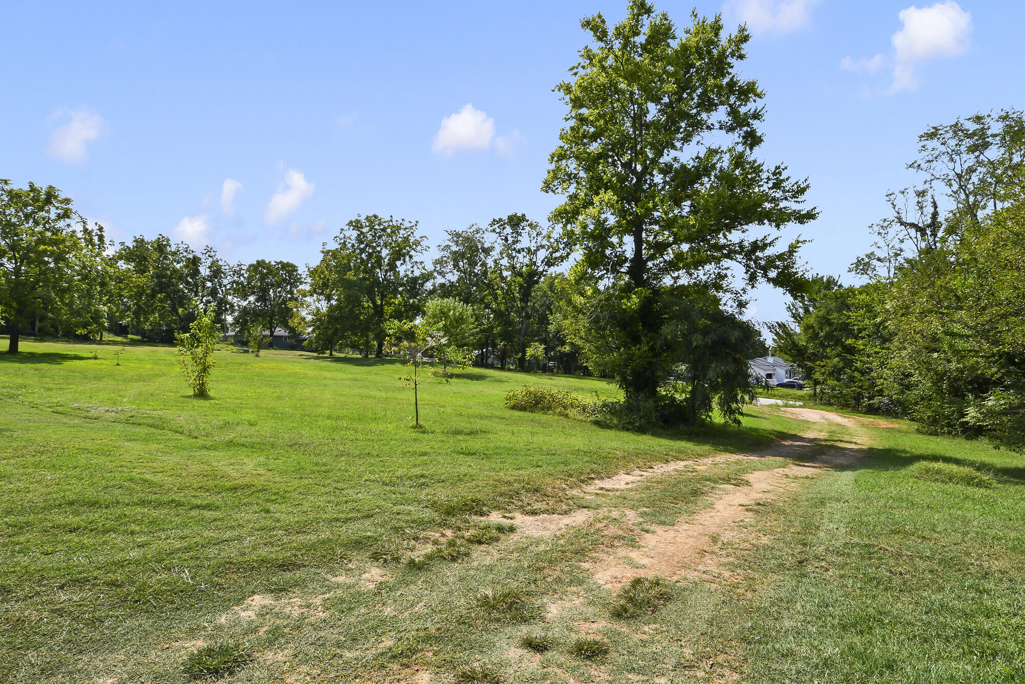 Photo 44 - Residential for sale – 25420  State Highway 37   Washburn, MO