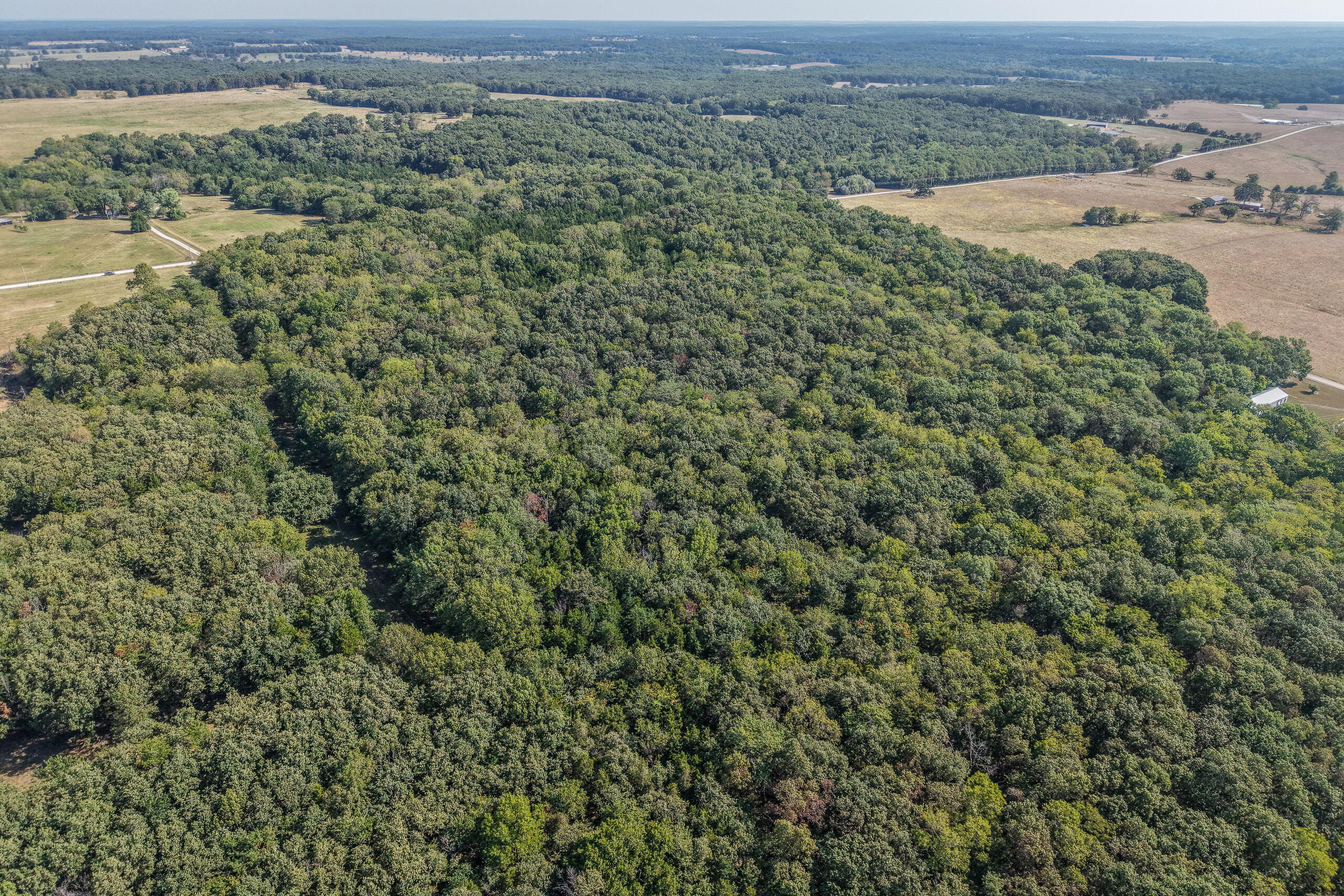 Photo 7 - Land for sale – 000  County Line Rd   Urbana, MO