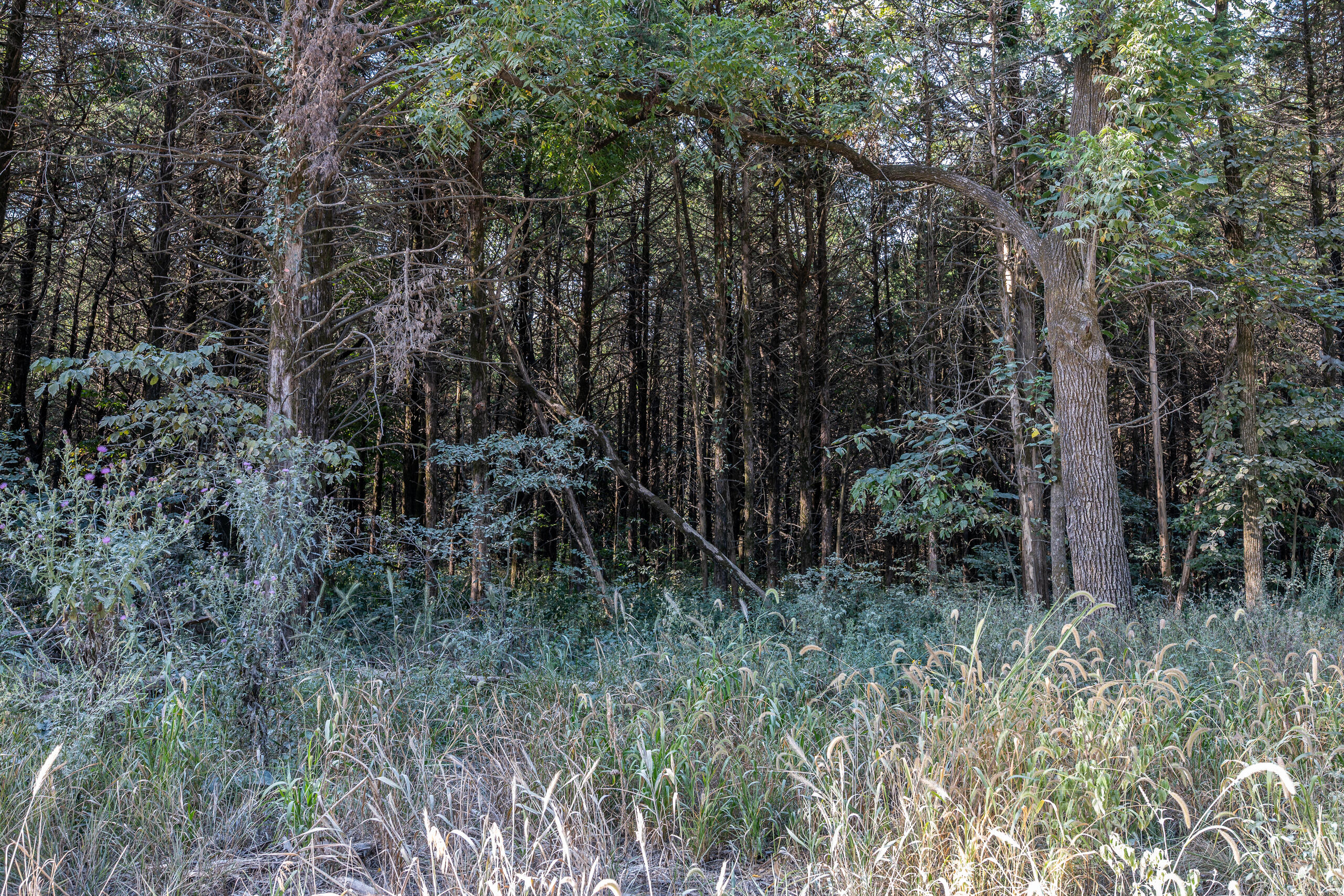 Photo 29 - Land for sale – 000  County Line Rd   Urbana, MO