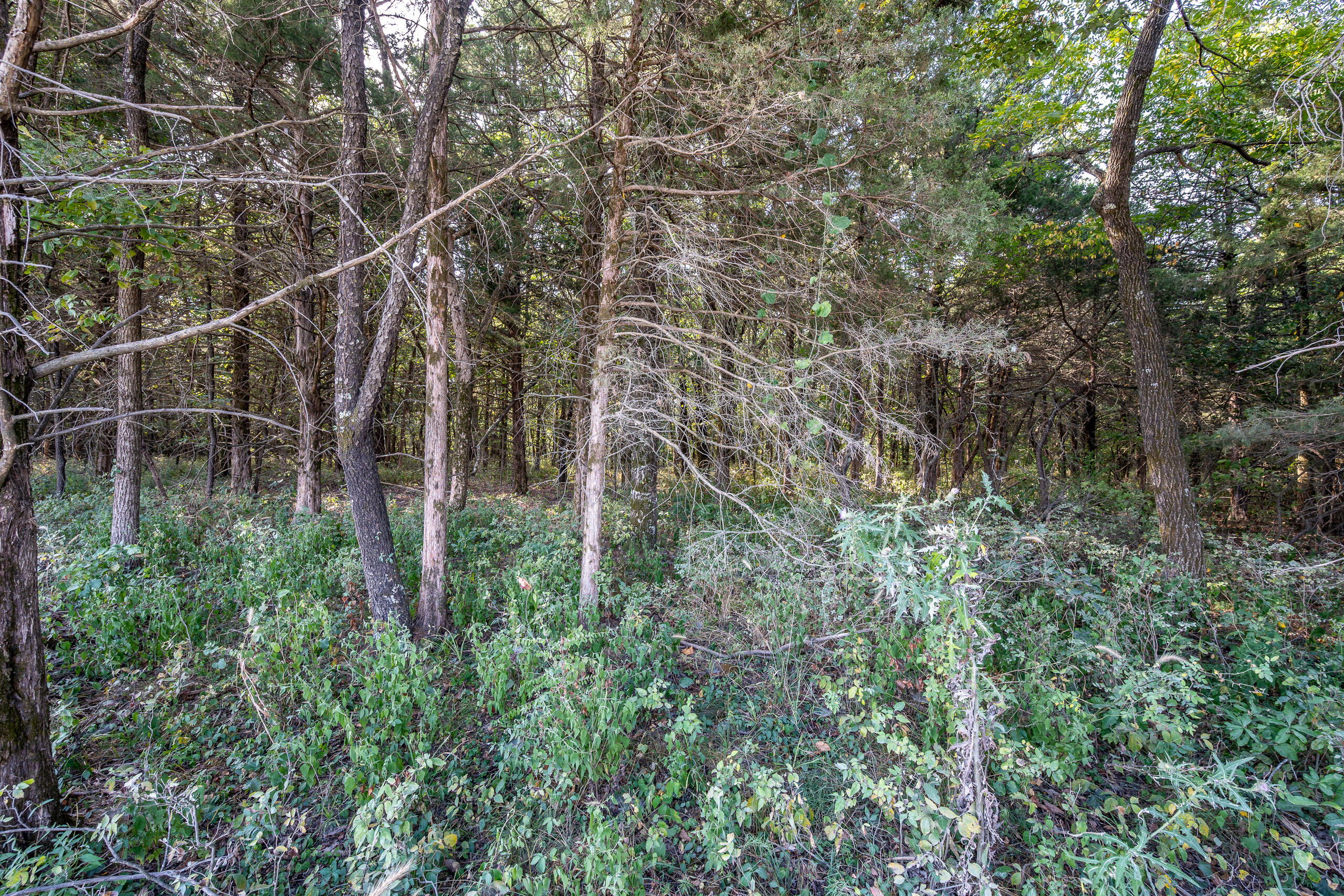 Photo 25 - Land for sale – 000  County Line Rd   Urbana, MO