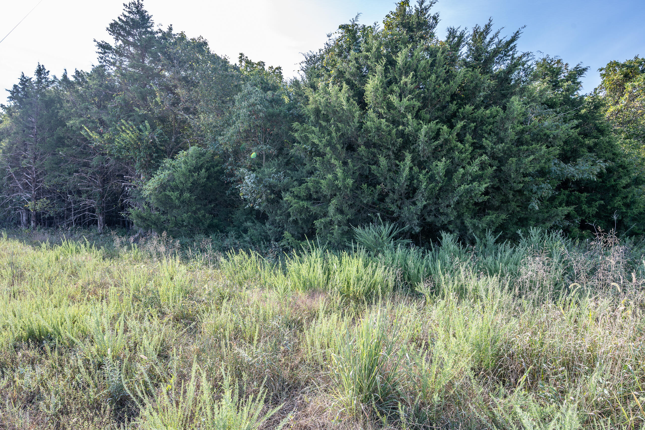 Photo 24 - Land for sale – 000  County Line Rd   Urbana, MO