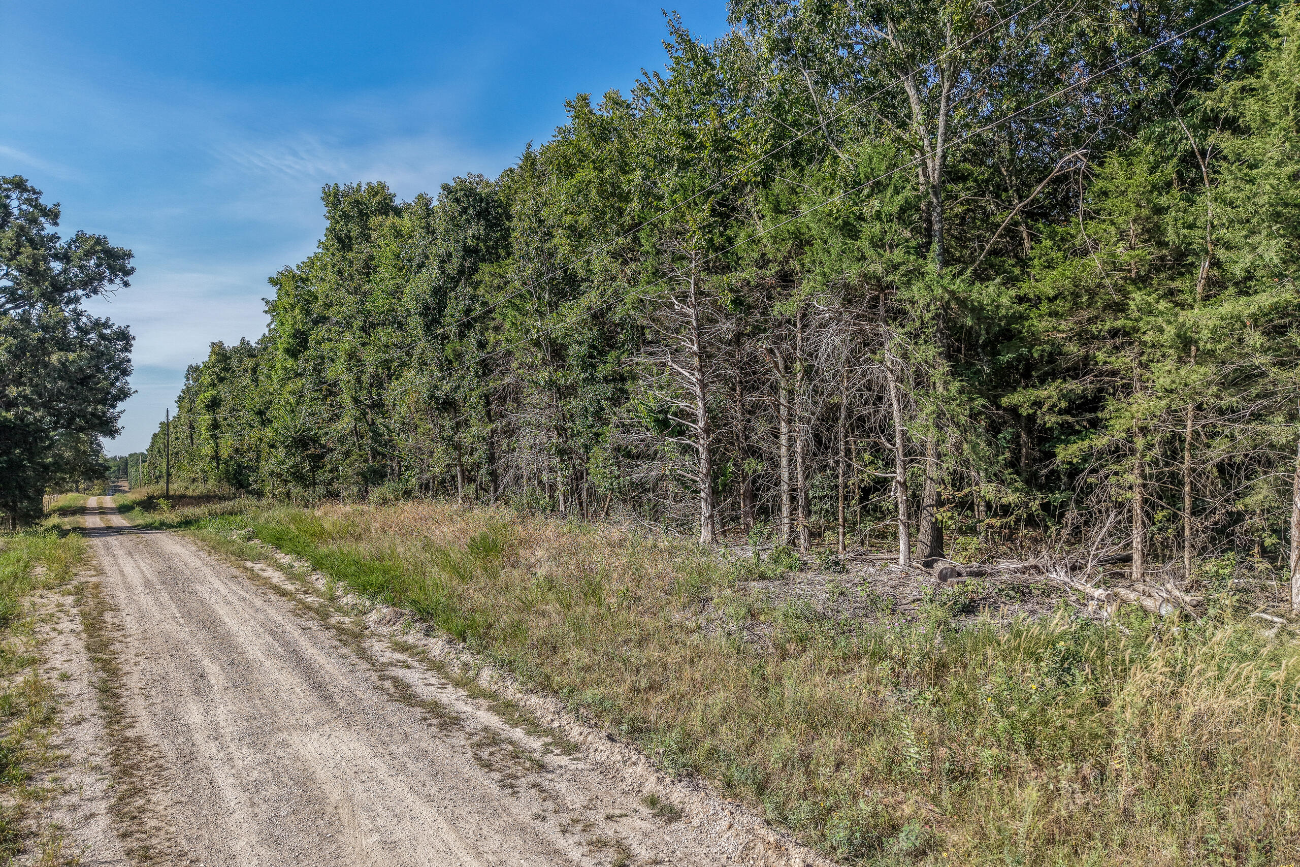 Photo 21 - Land for sale – 000  County Line Rd   Urbana, MO