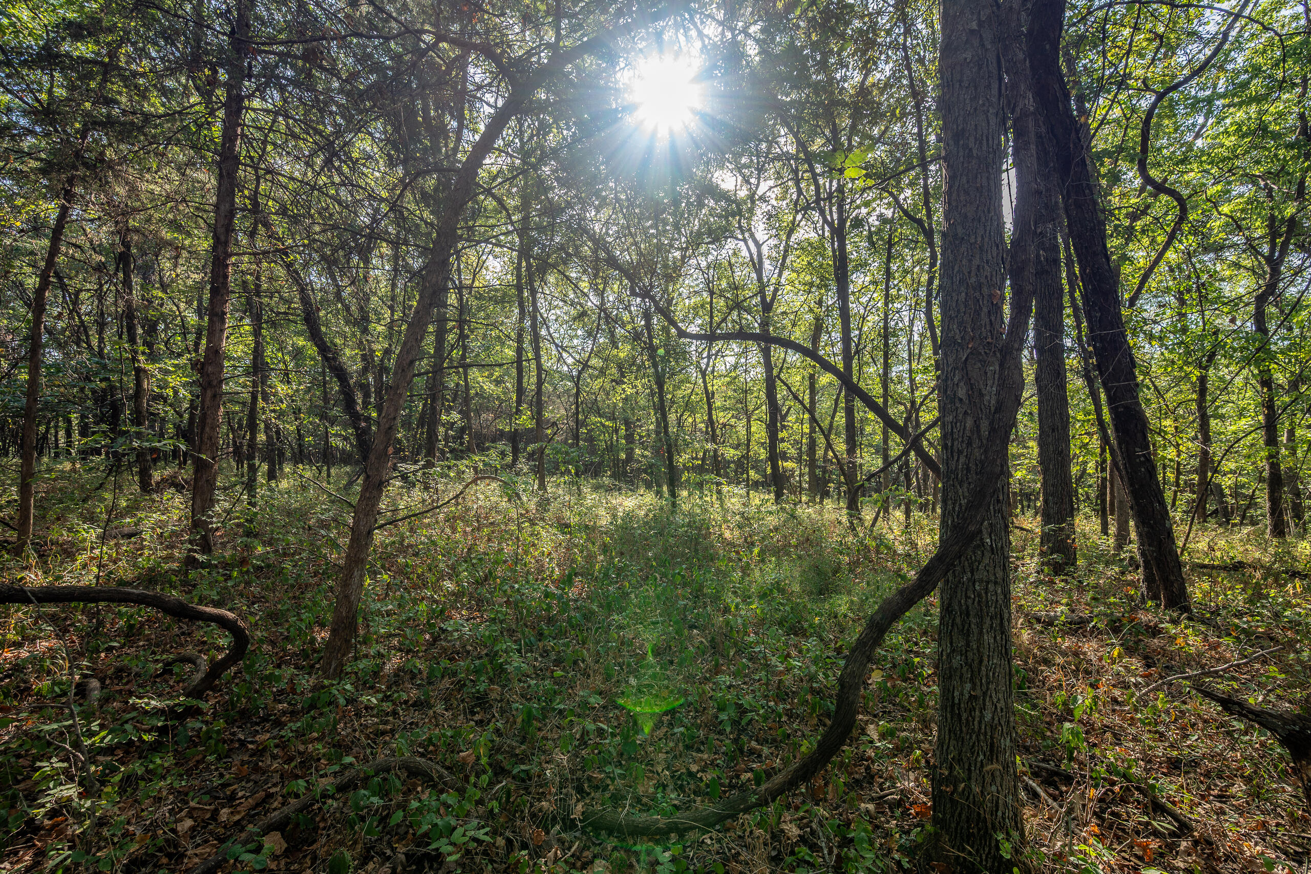 Photo 31 - Land for sale – 000  County Line Rd   Urbana, MO