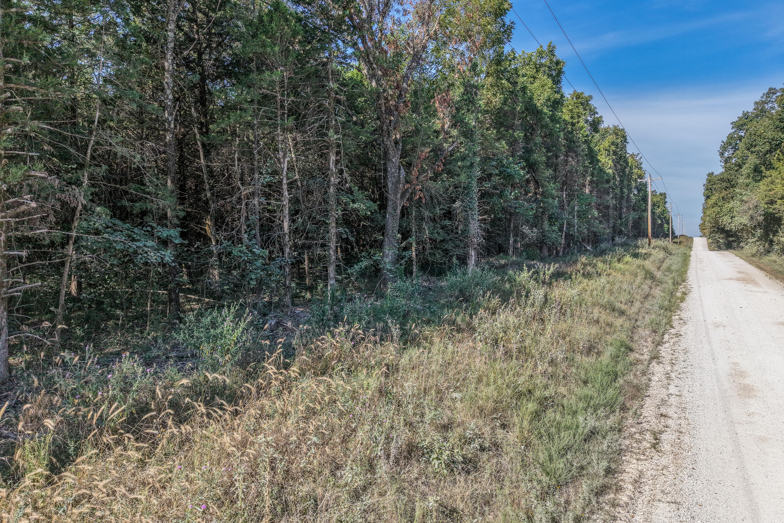 Photo 23 - Land for sale – 000  County Line Rd   Urbana, MO