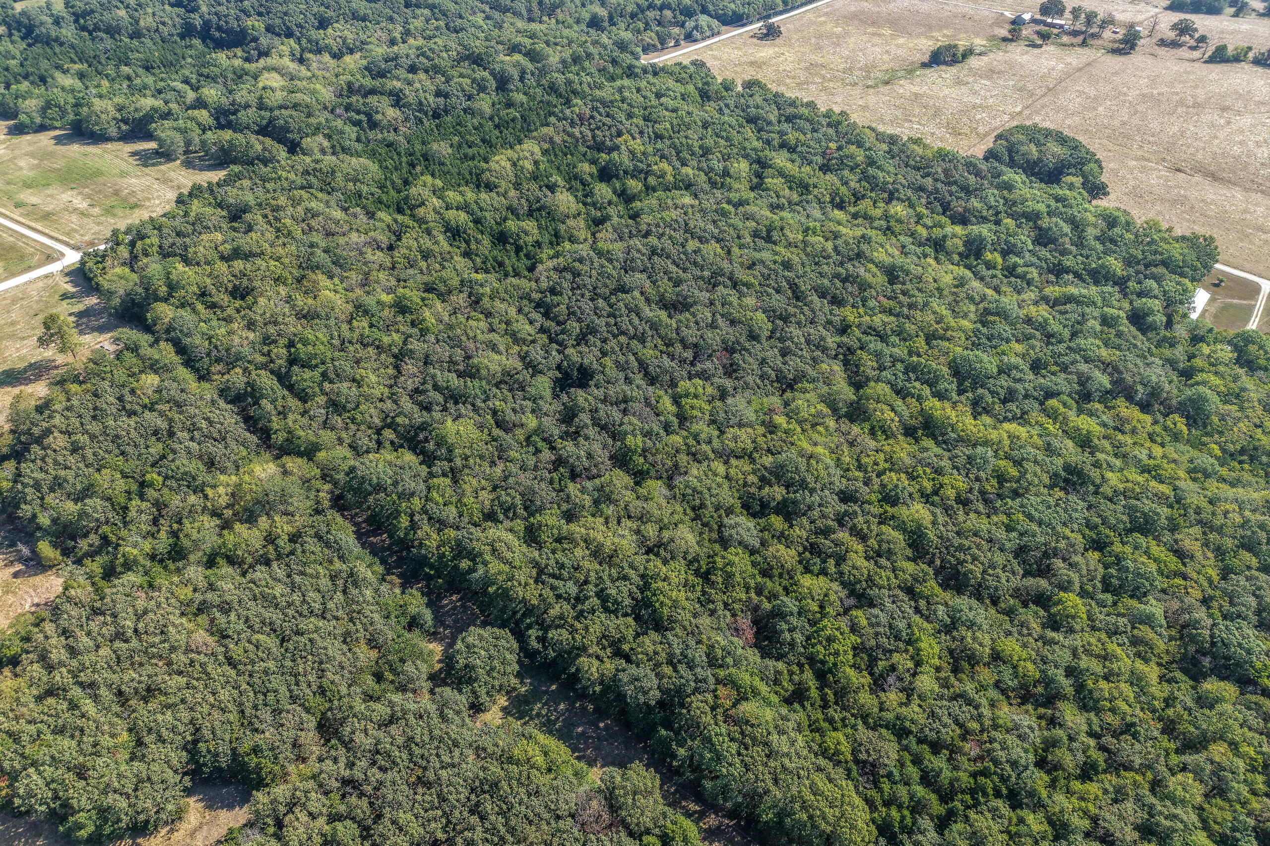 Photo 4 - Land for sale – 000  County Line Rd   Urbana, MO