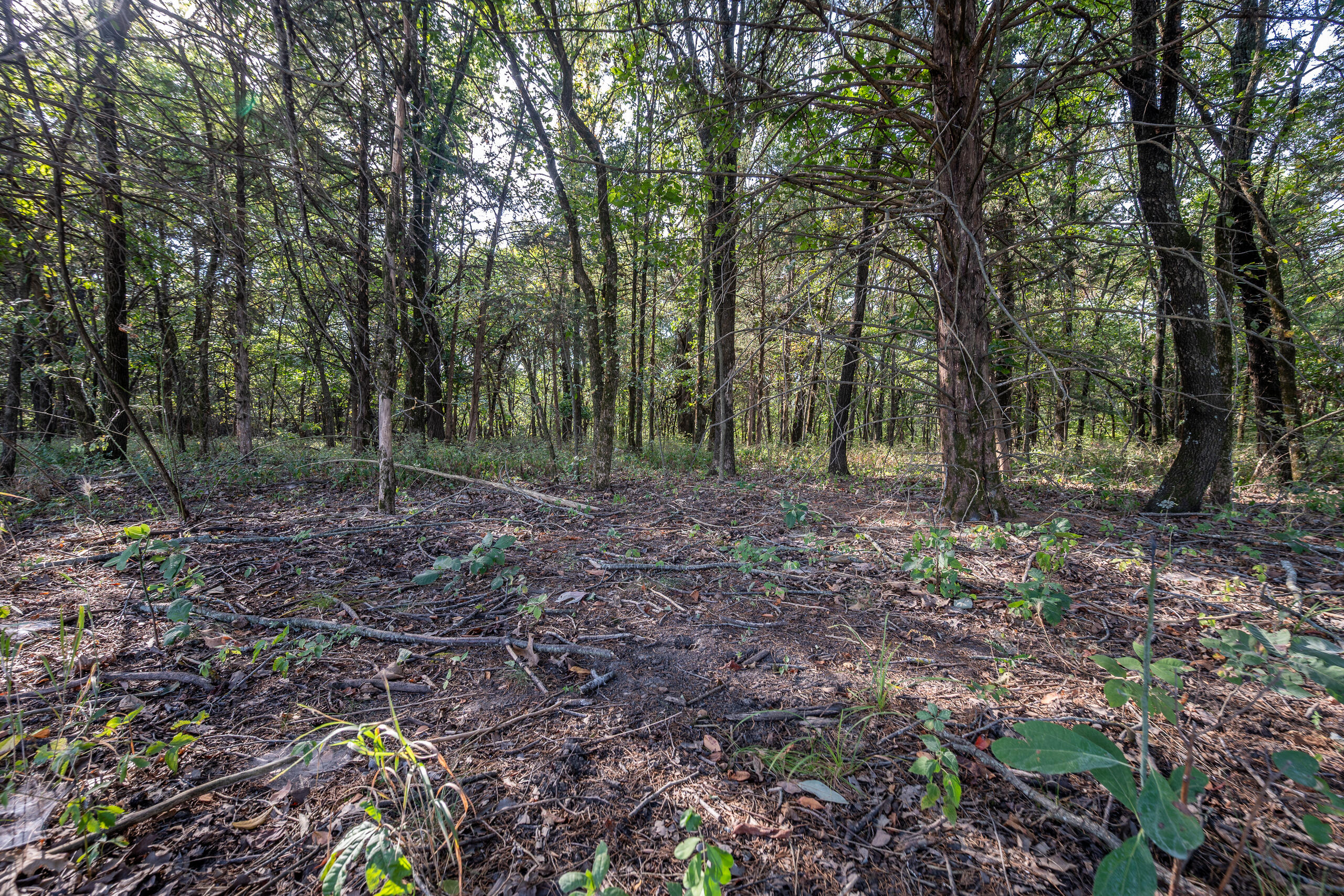Photo 26 - Land for sale – 000  County Line Rd   Urbana, MO