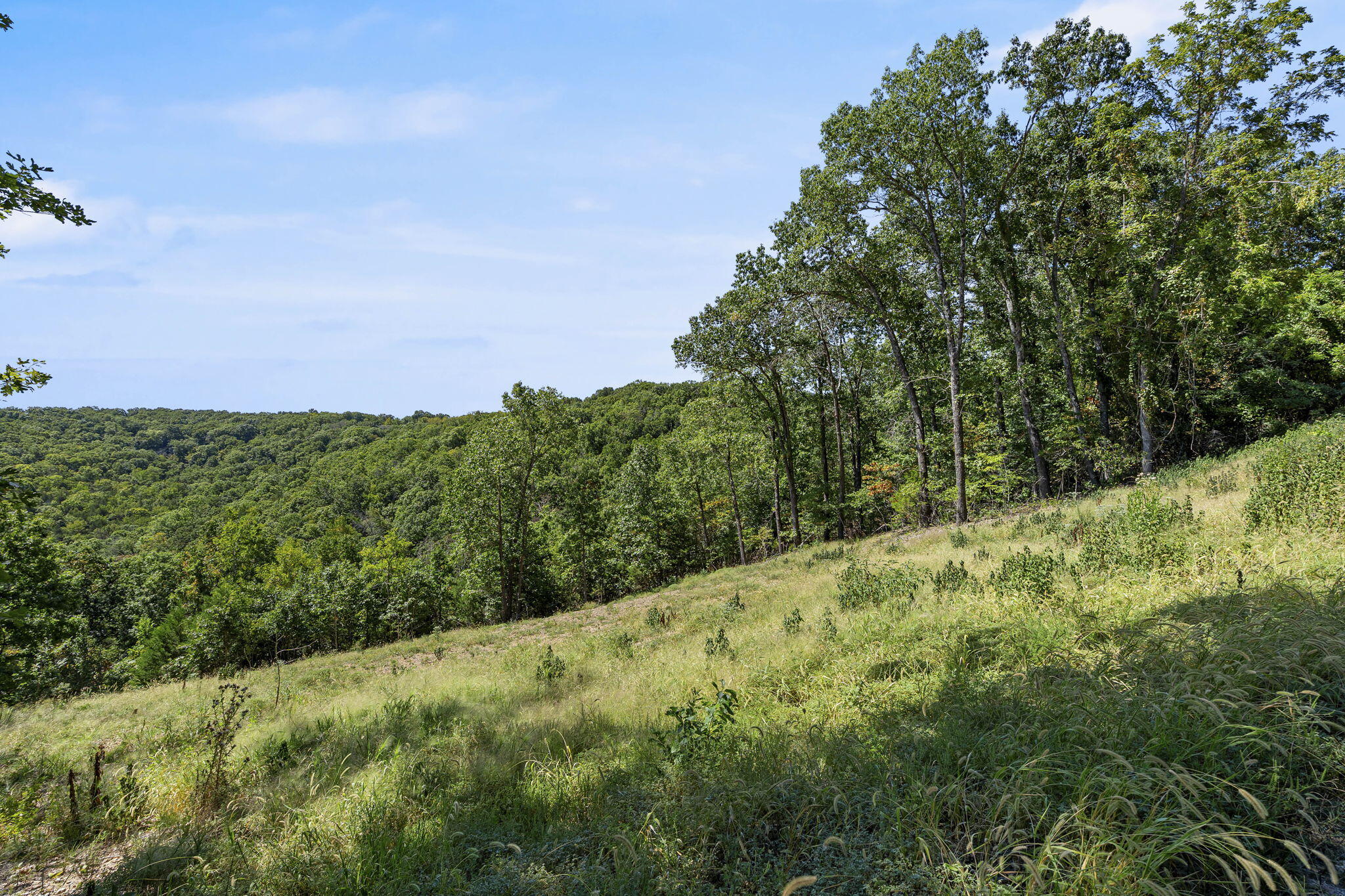 Photo 12 - Land for sale – Lot 9  Lazarus Road  Branson West, MO