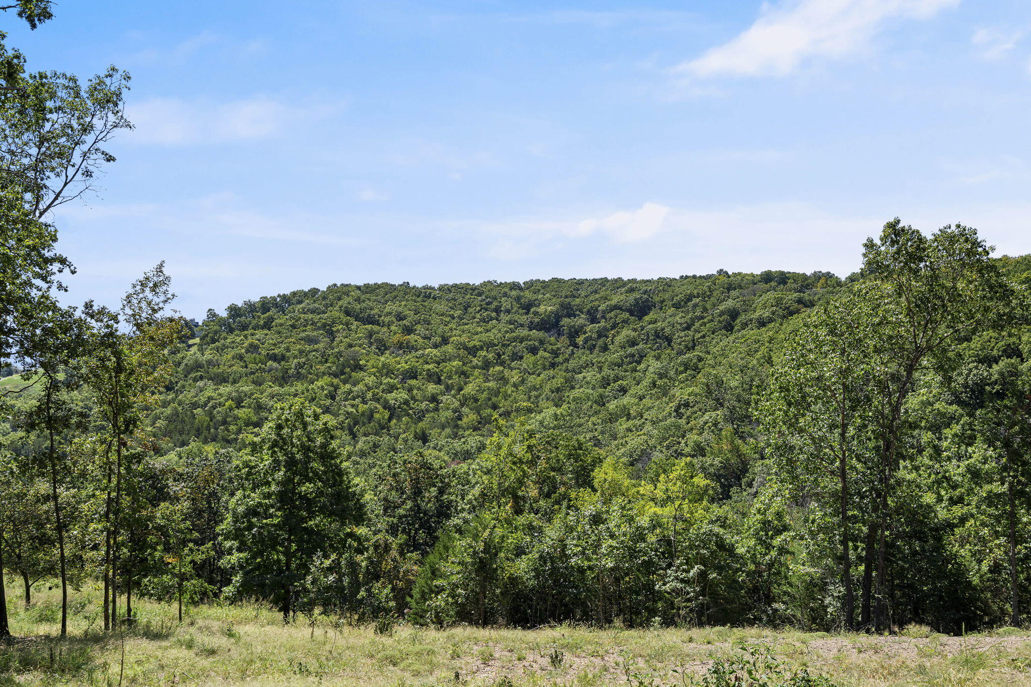 Photo 13 - Land for sale – Lot 9  Lazarus Road  Branson West, MO
