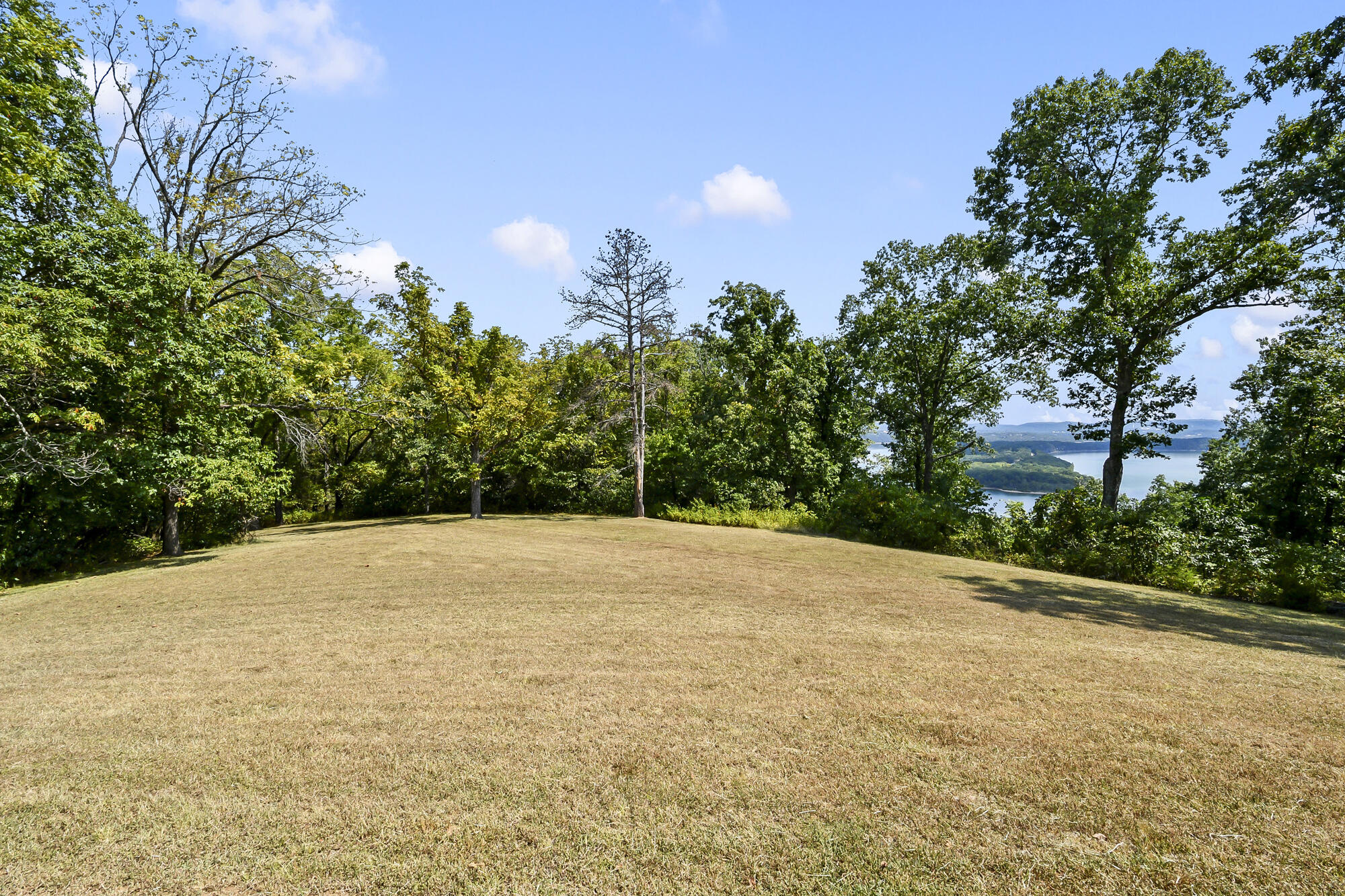 Photo 48 - Residential for sale – 8096  State Highway Y   Galena, MO