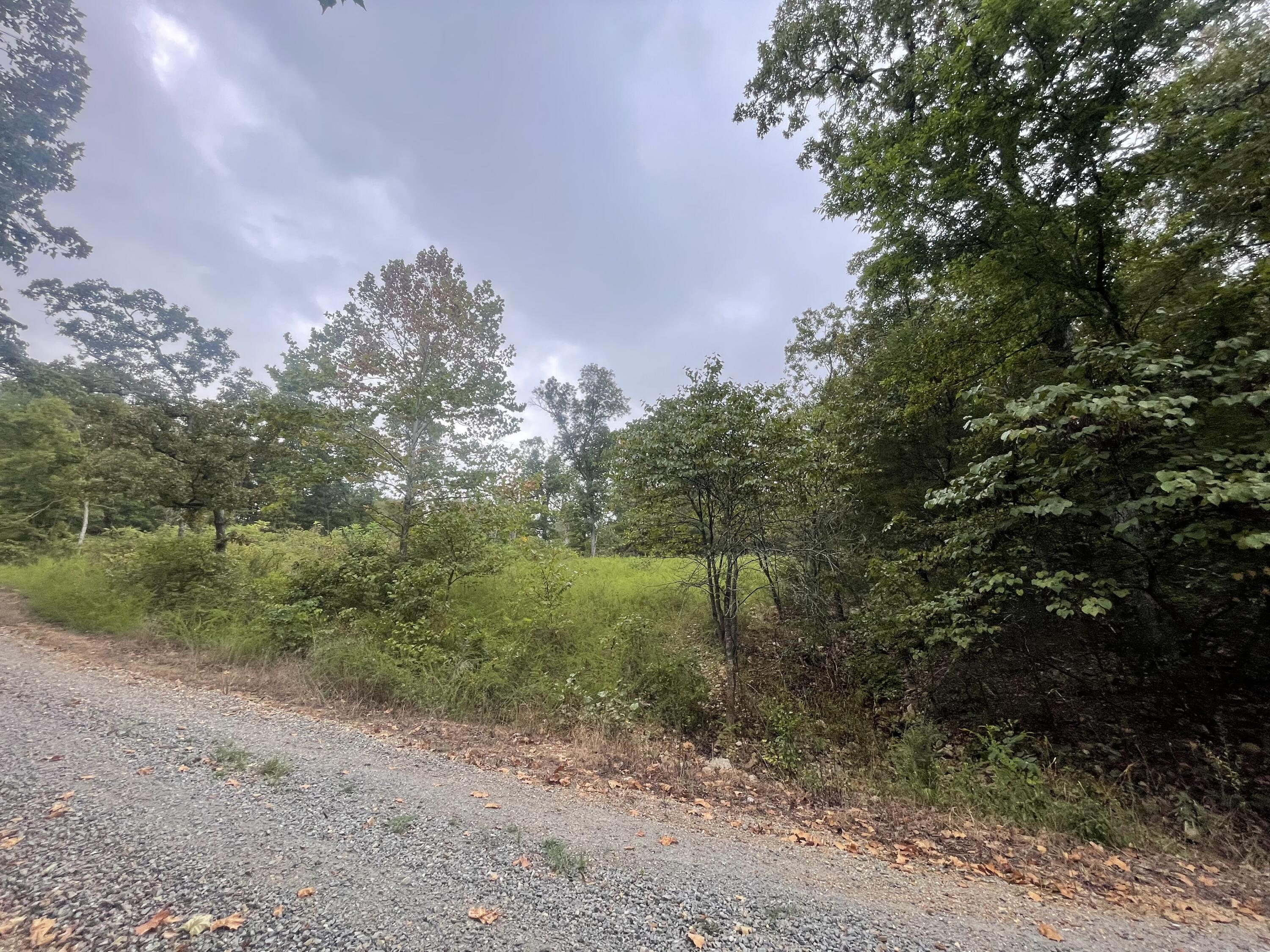 Land for sale – 000  Fernwood Drive  Theodosia, MO