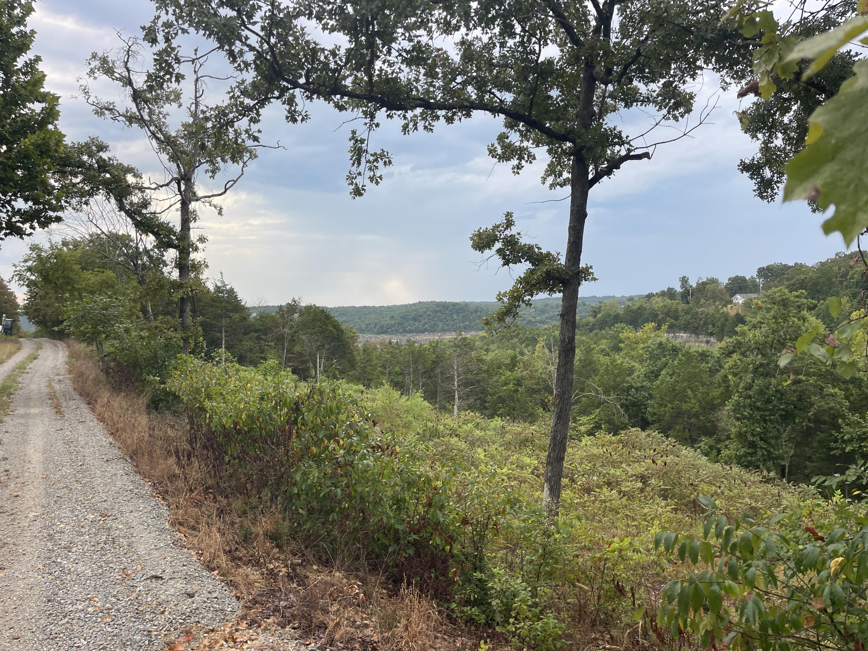 Photo 8 - Land for sale – 000  Fernwood Drive  Theodosia, MO