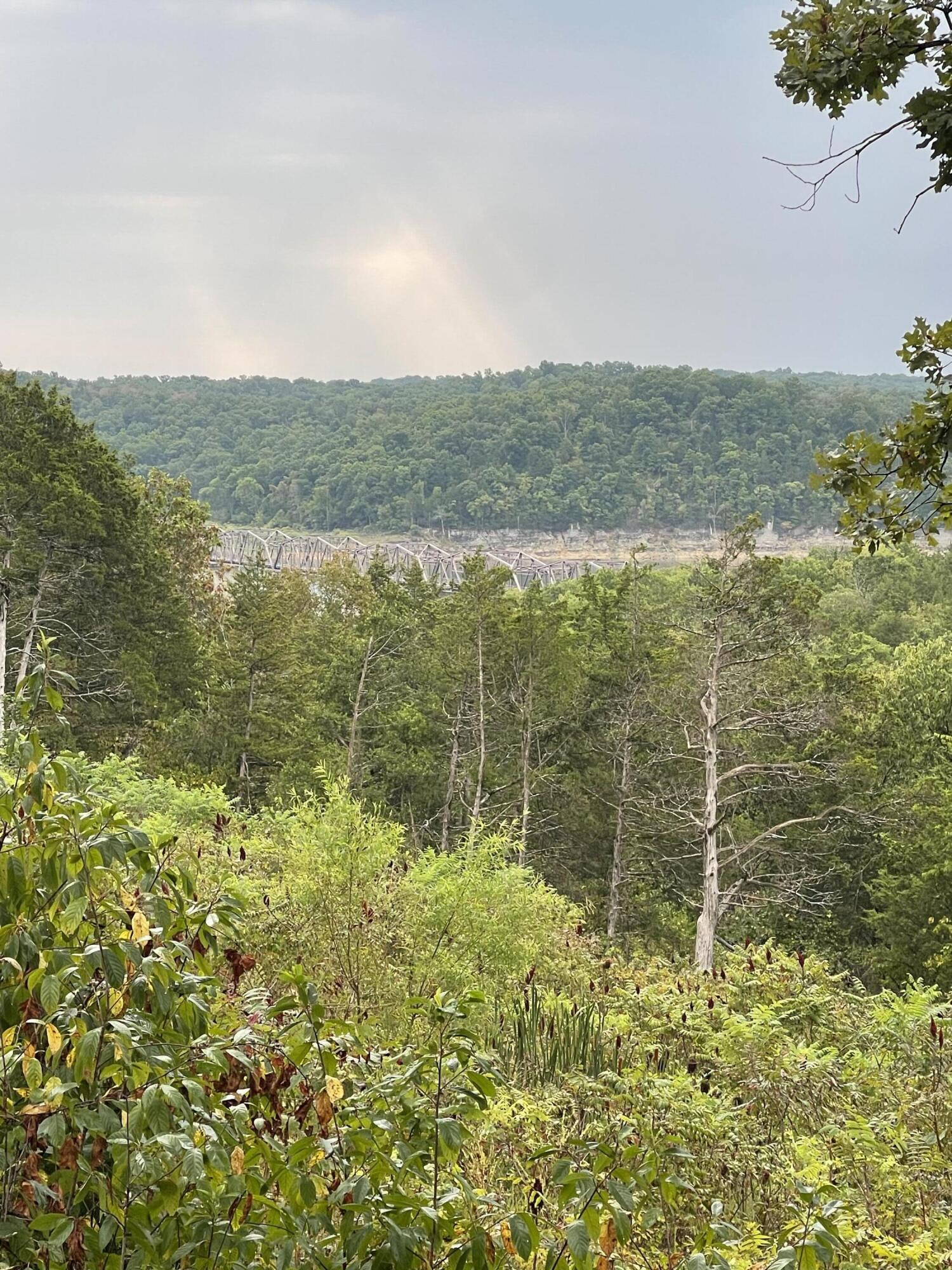 Photo 5 - Land for sale – 000  Fernwood Drive  Theodosia, MO