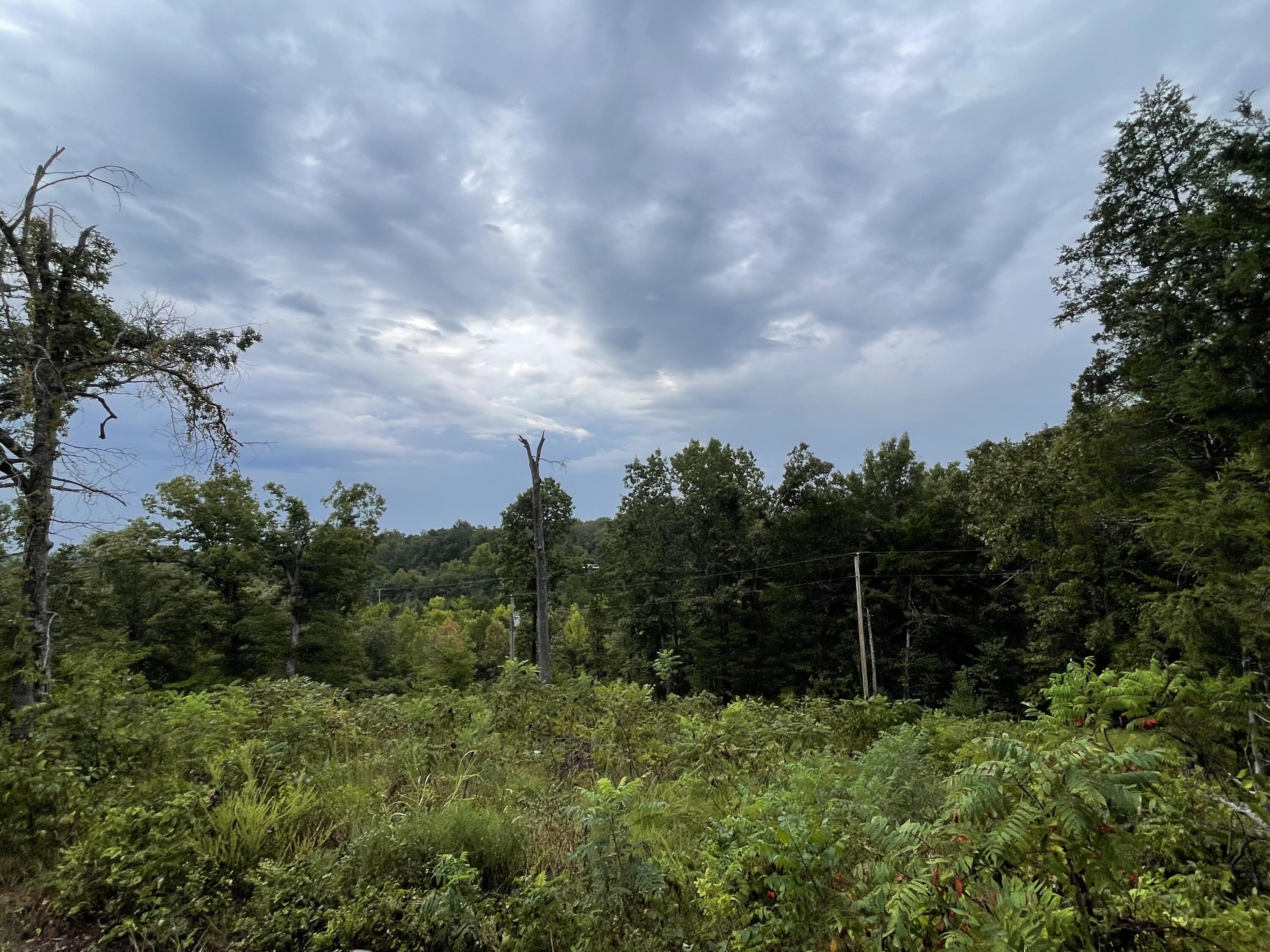 Photo 3 - Land for sale – 000  Fernwood Drive  Theodosia, MO