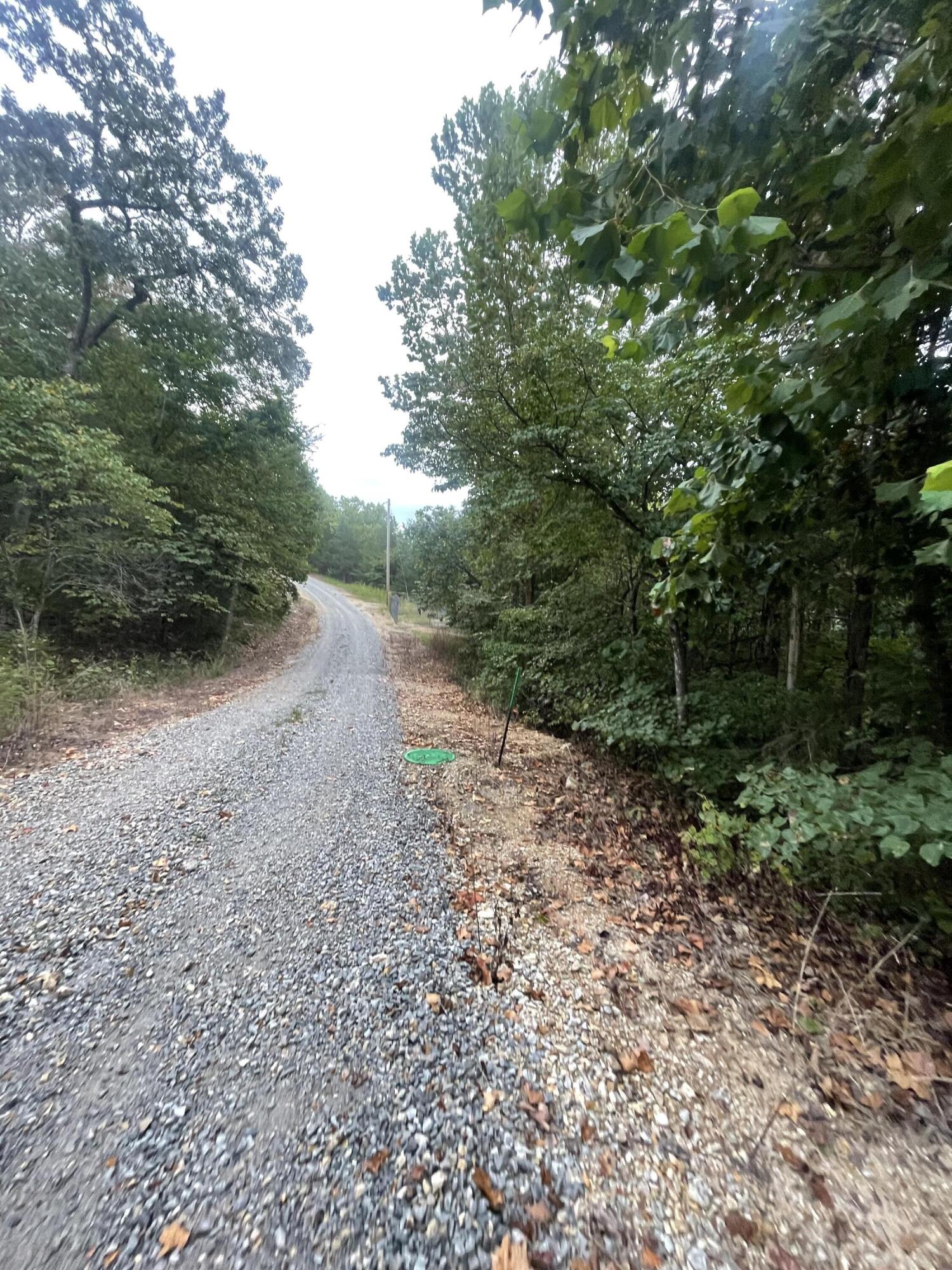 Photo 2 - Land for sale – 000  Fernwood Drive  Theodosia, MO