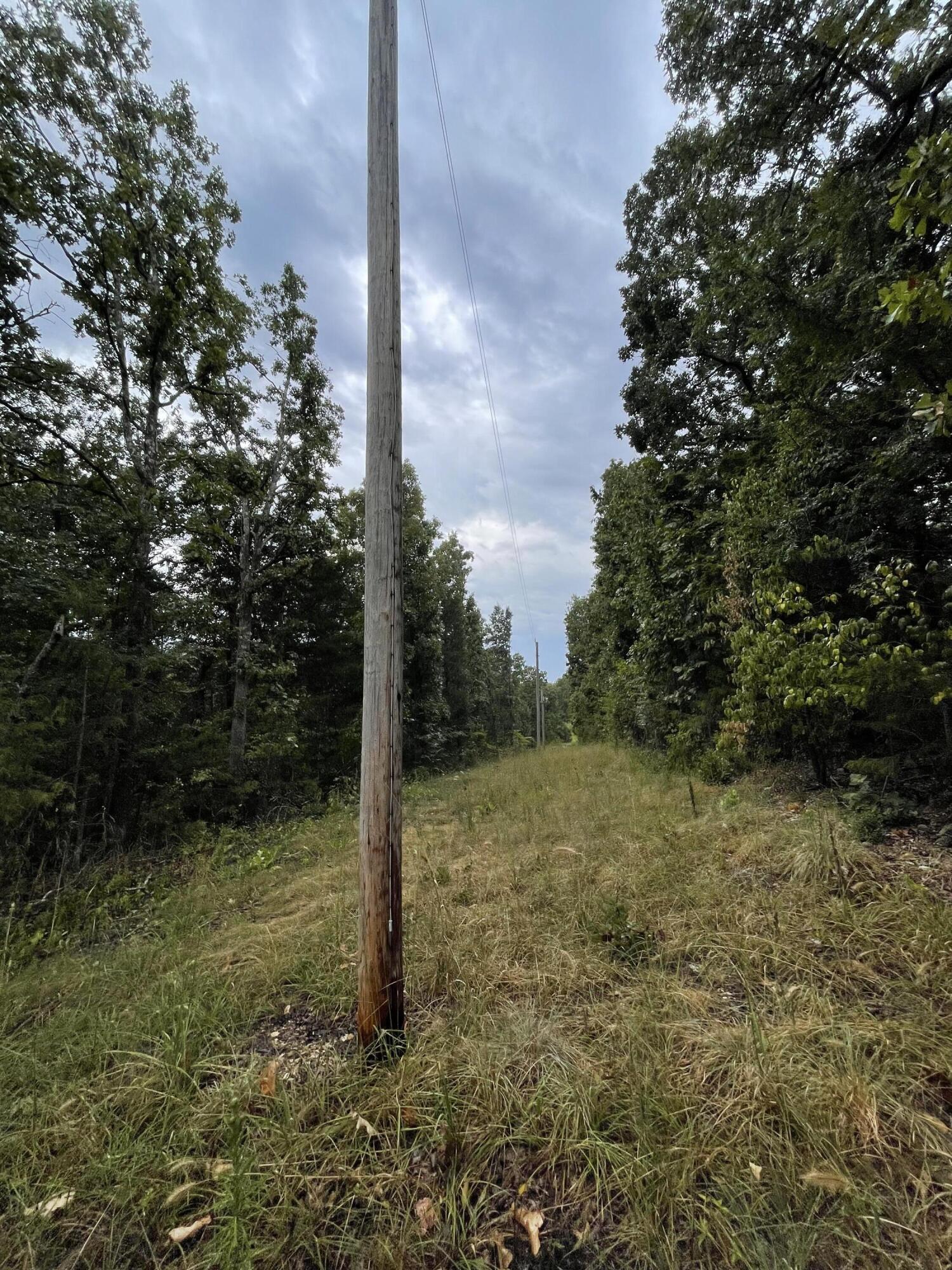 Photo 8 - Land for sale – 000  Fernwood Drive  Theodosia, MO