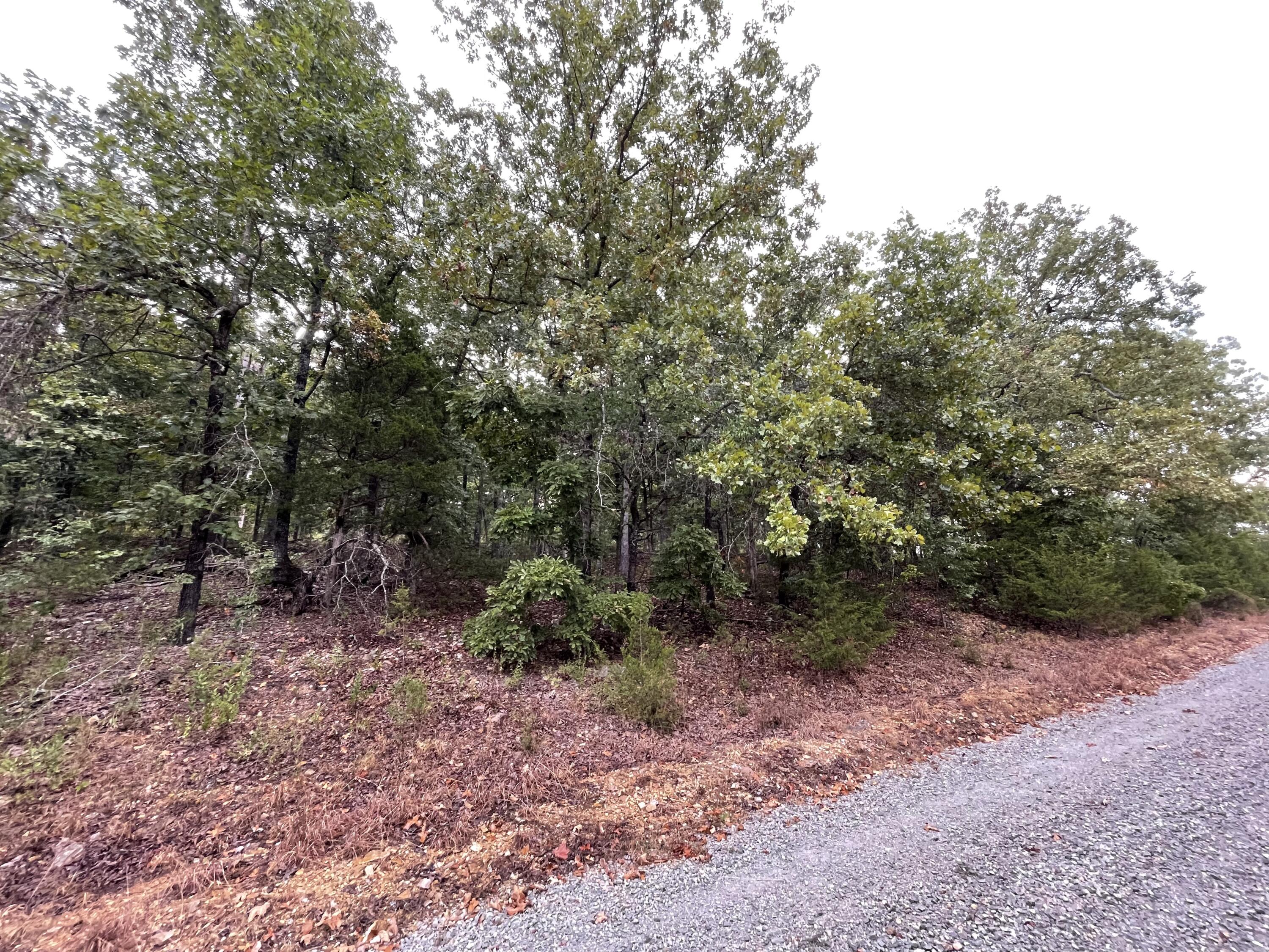 Land for sale – 000  Fernwood Drive  Theodosia, MO