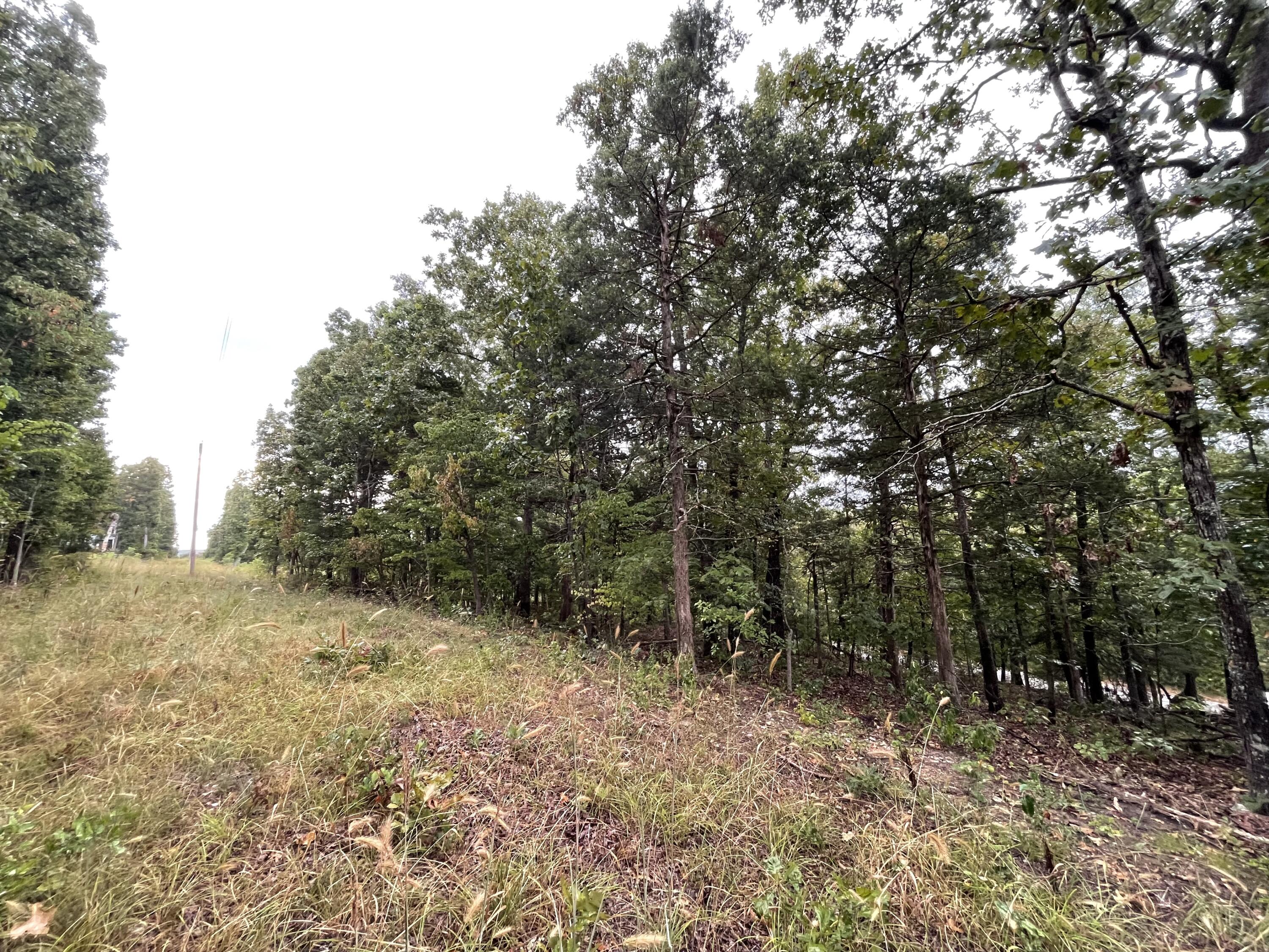 Photo 3 - Land for sale – 000  Fernwood Drive  Theodosia, MO