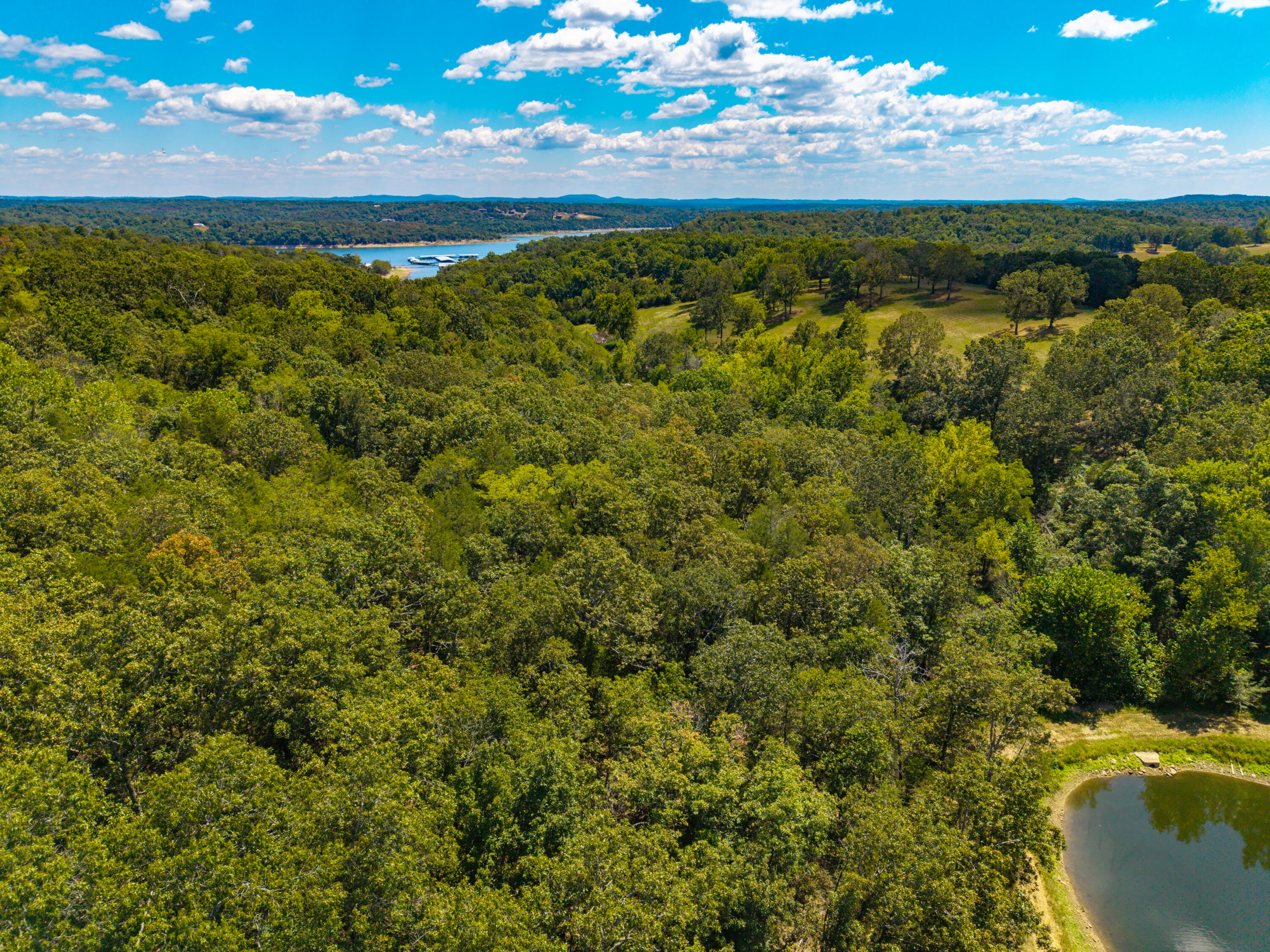 Photo 23 - Land for sale – Lot 1  County Road 635   Theodosia, MO