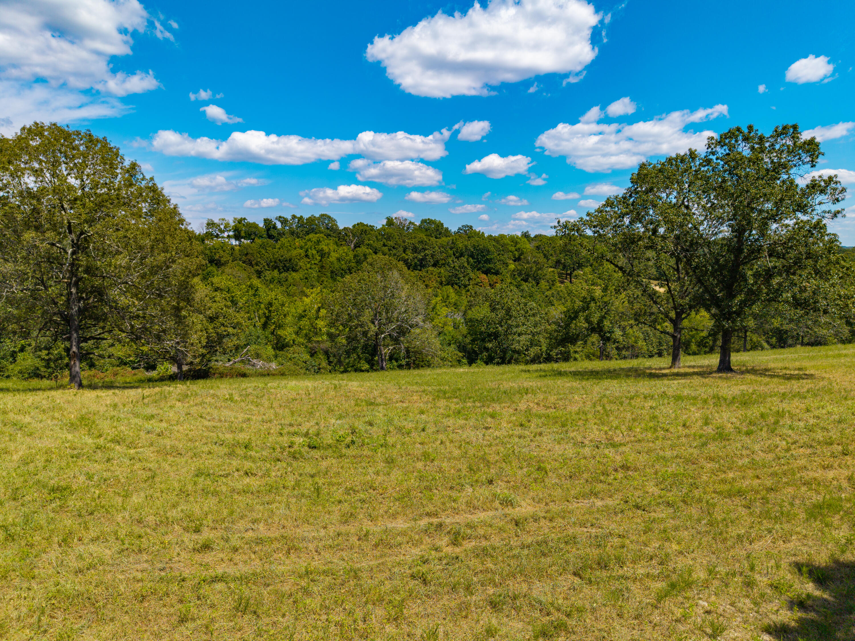 Photo 18 - Land for sale – Lot 1  County Road 635   Theodosia, MO