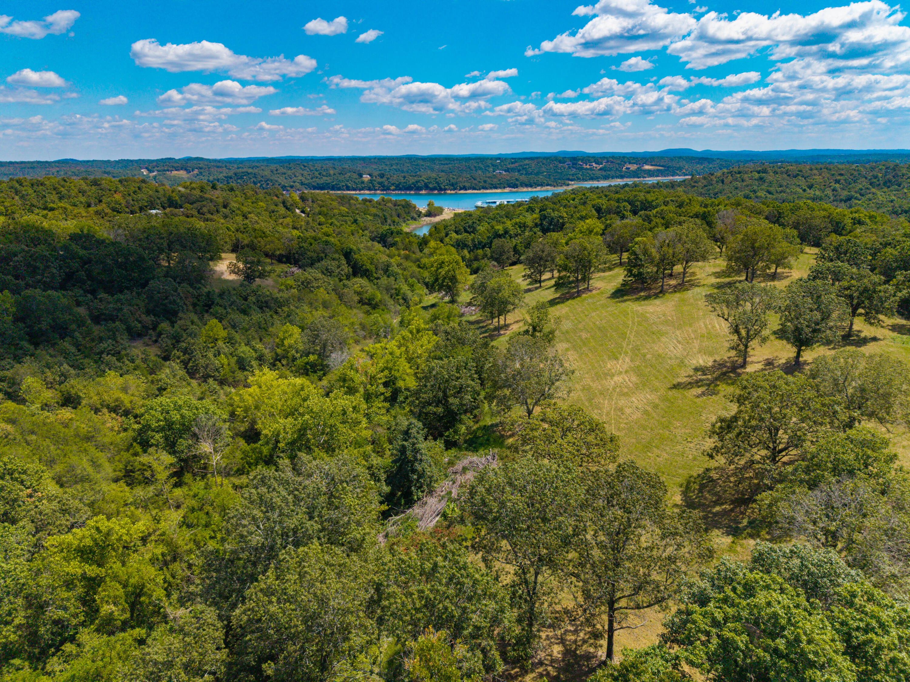 Photo 12 - Land for sale – Lot 1  County Road 635   Theodosia, MO